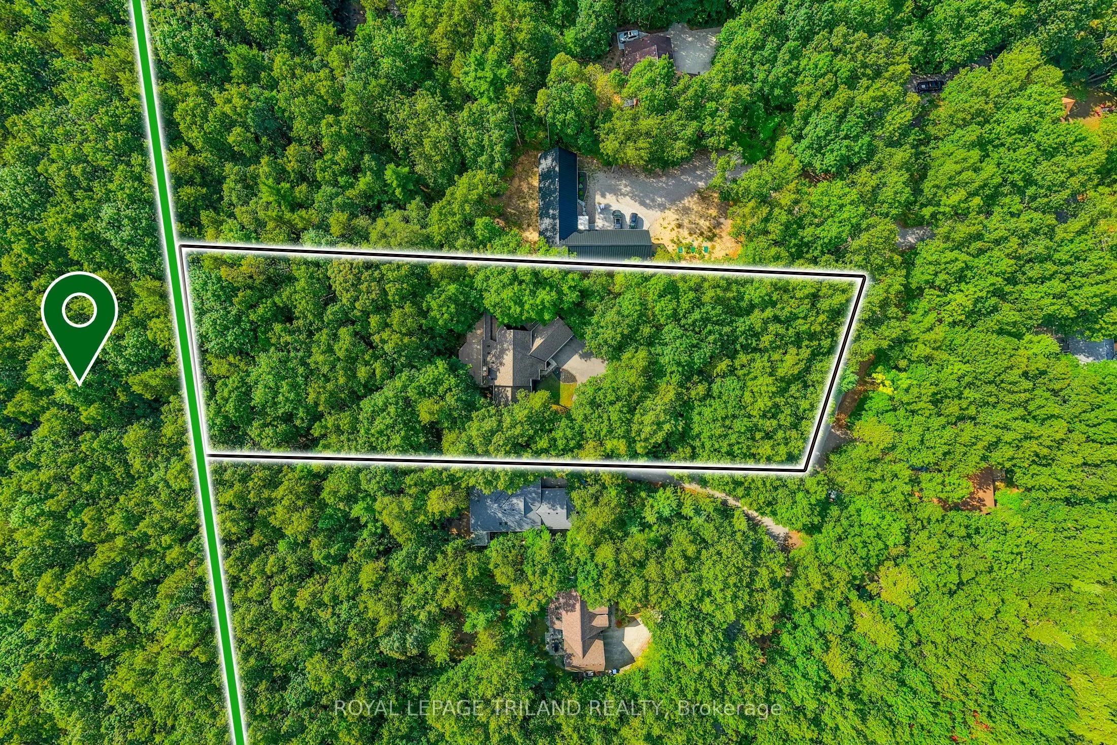 10239 Pinetree Drive