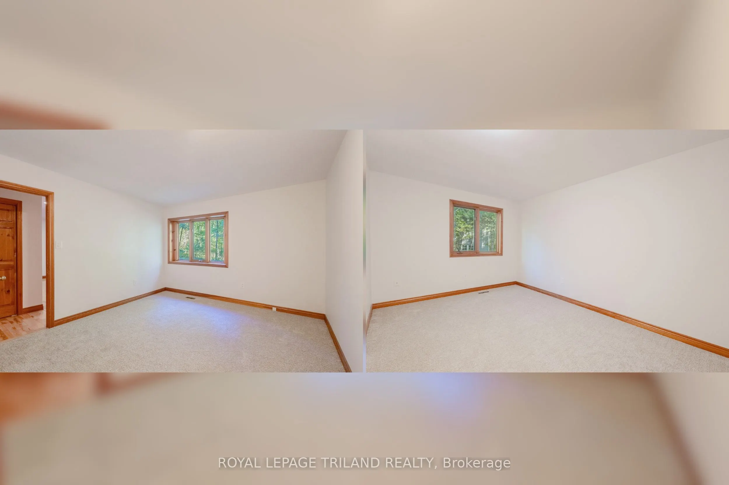 10239 Pinetree Drive