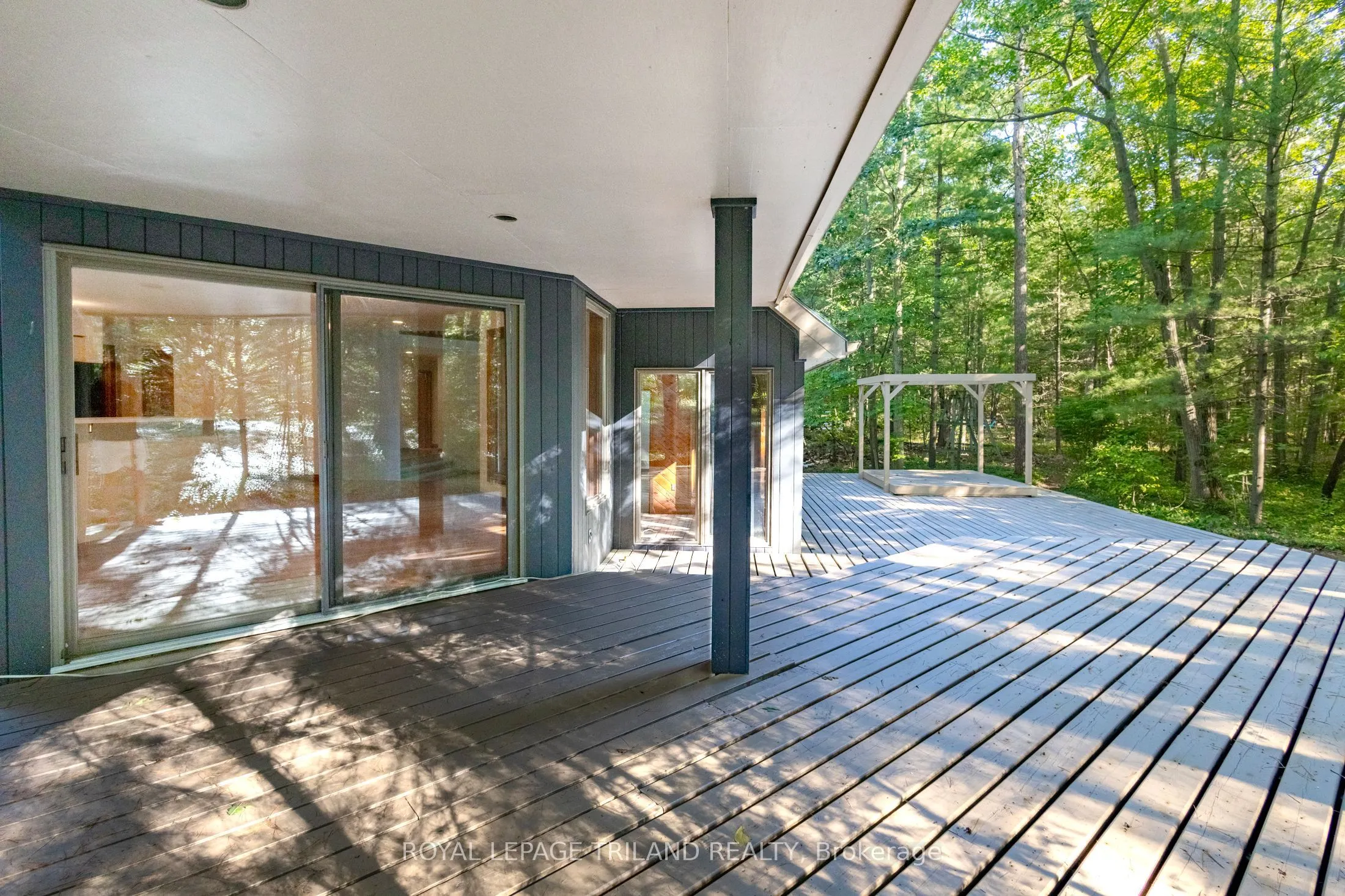 10239 Pinetree Drive