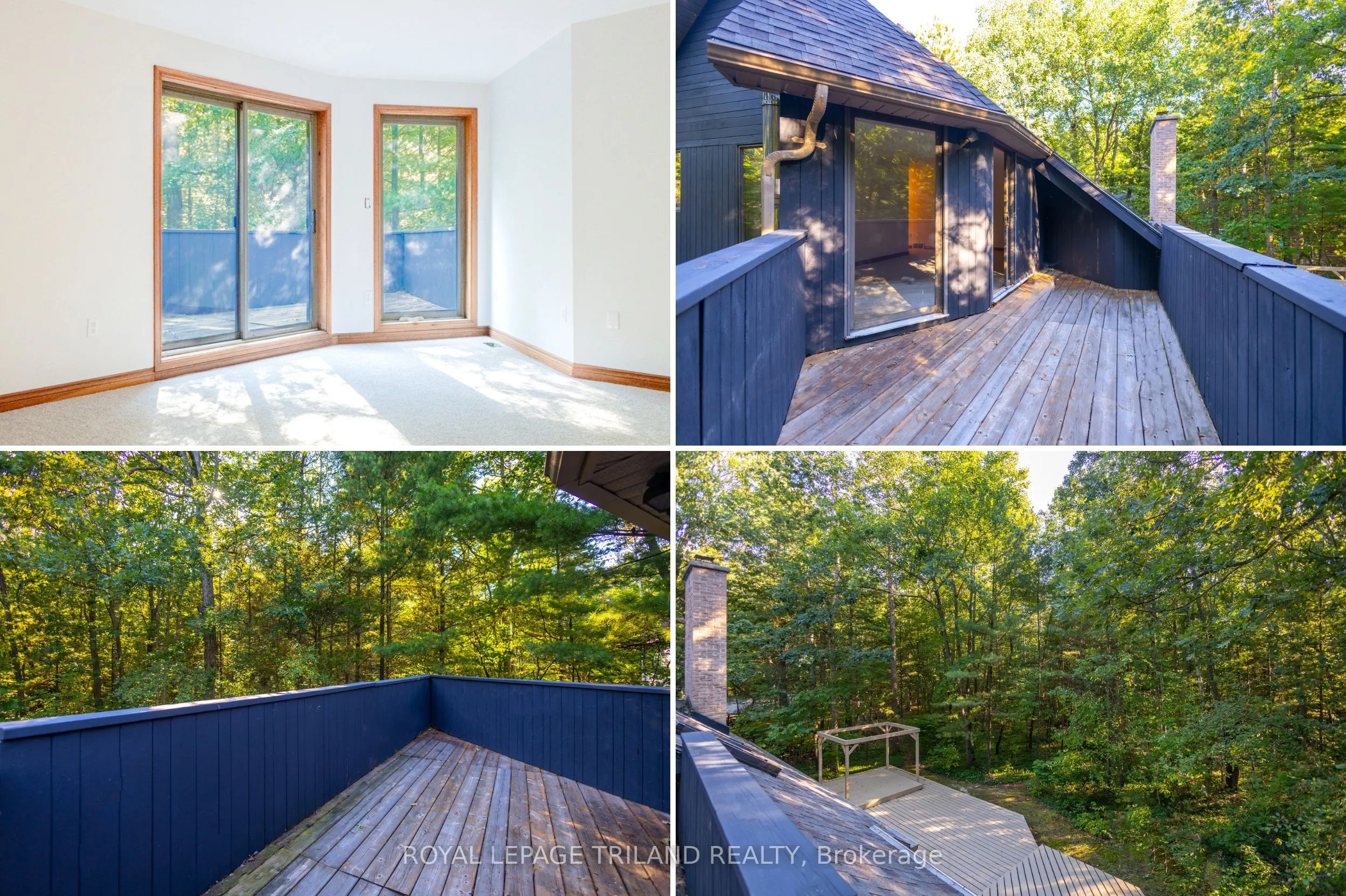 10239 Pinetree Drive