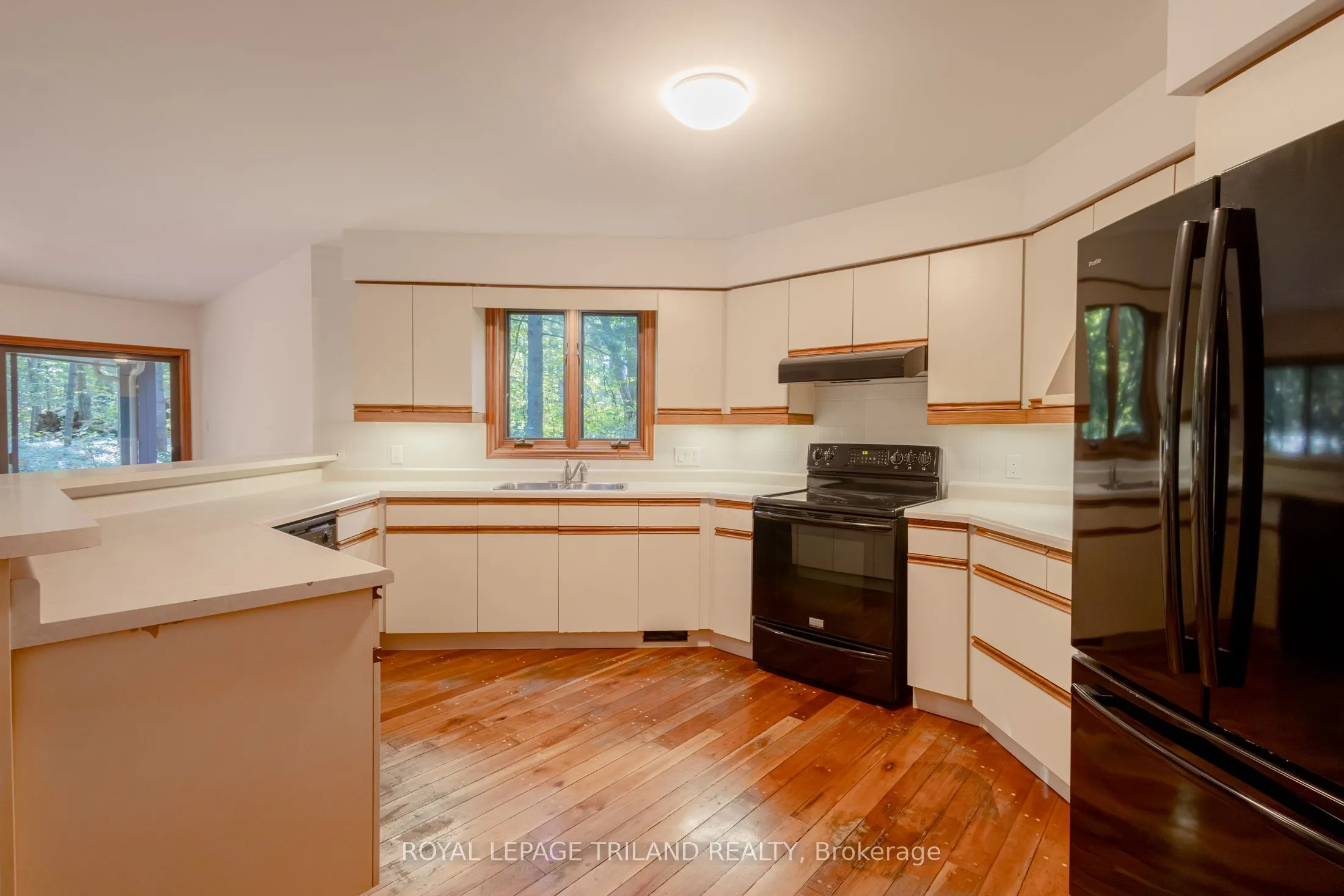 10239 Pinetree Drive