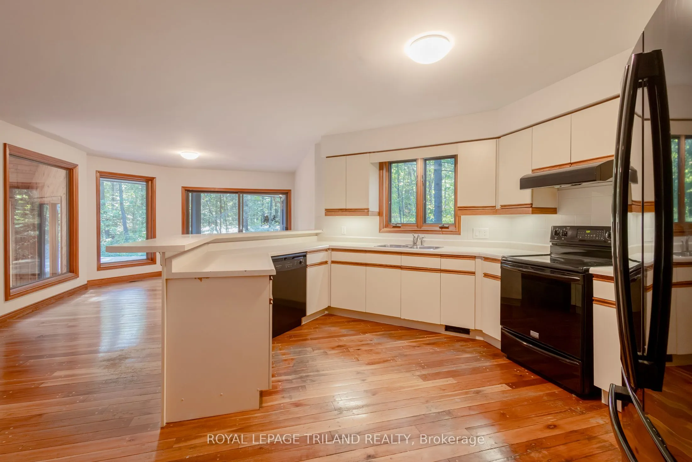 10239 Pinetree Drive