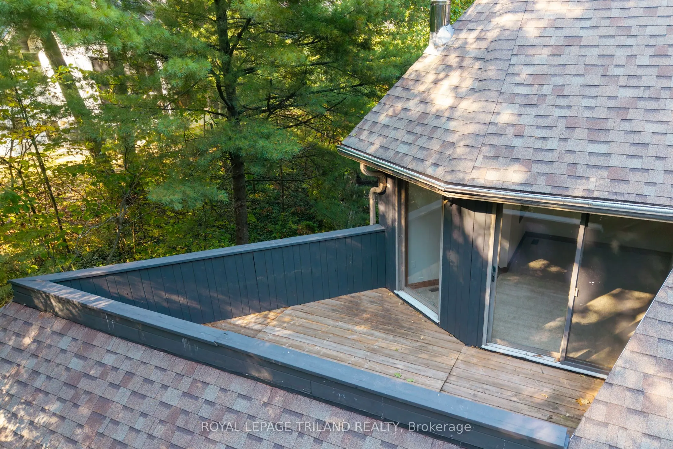 10239 Pinetree Drive