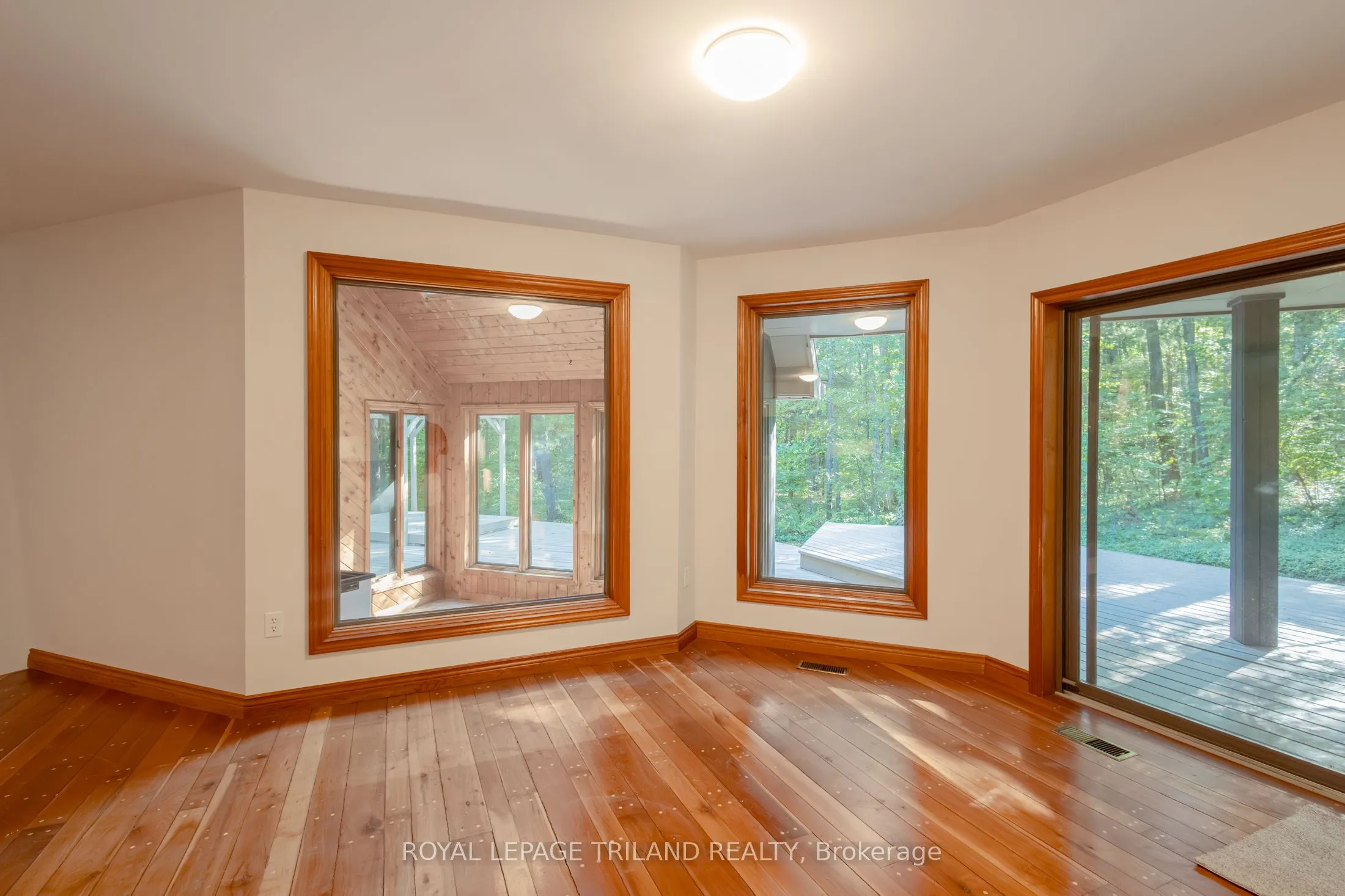 10239 Pinetree Drive