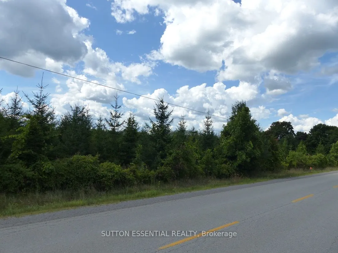 0 County Road 46 Road