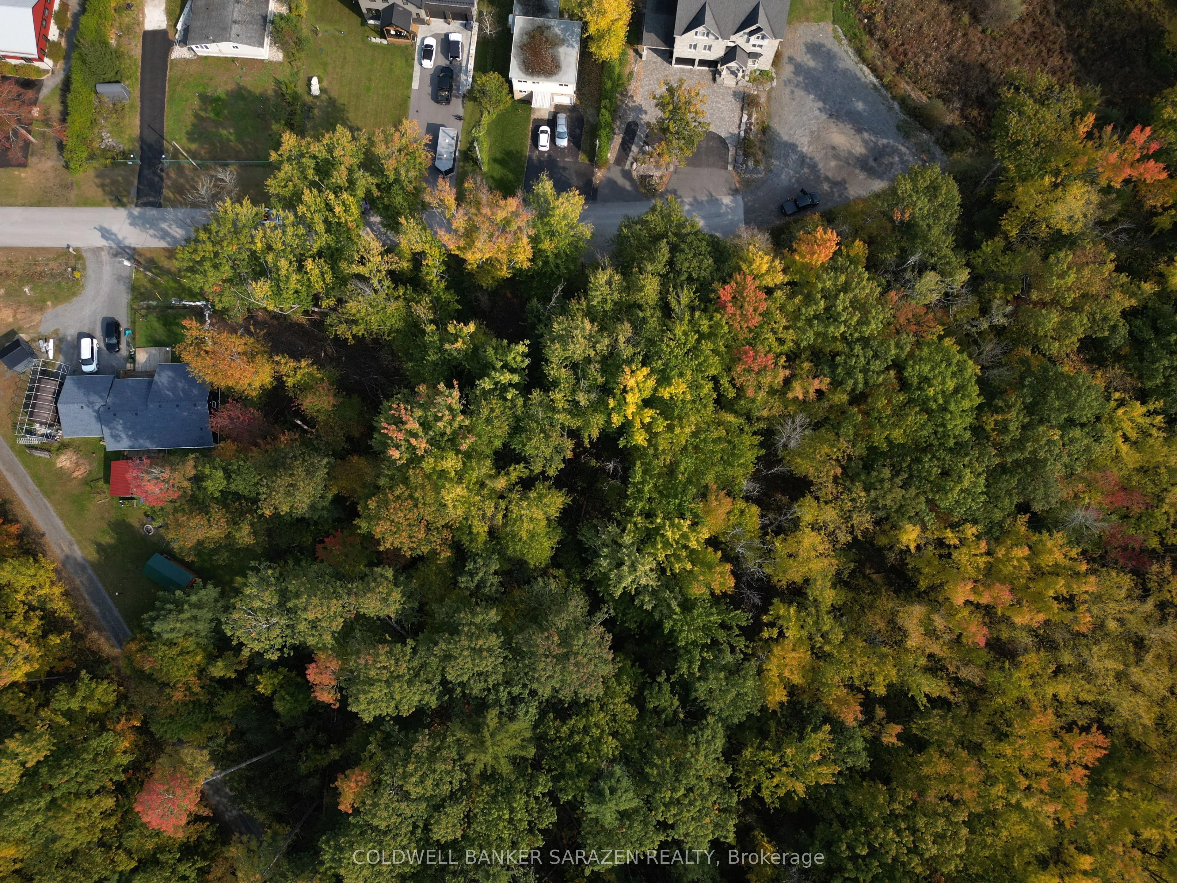 101 Allbirch Road