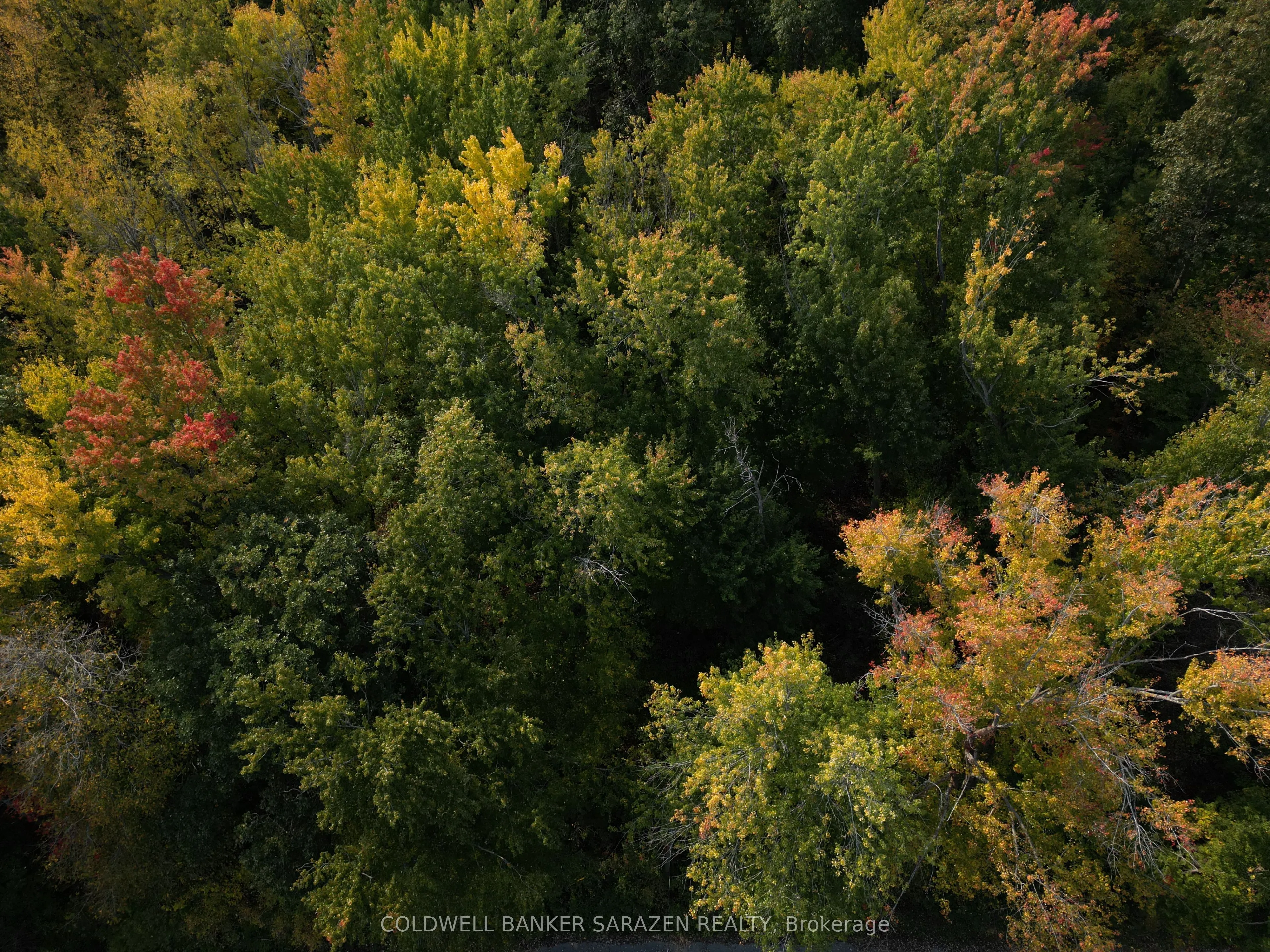 101 Allbirch Road