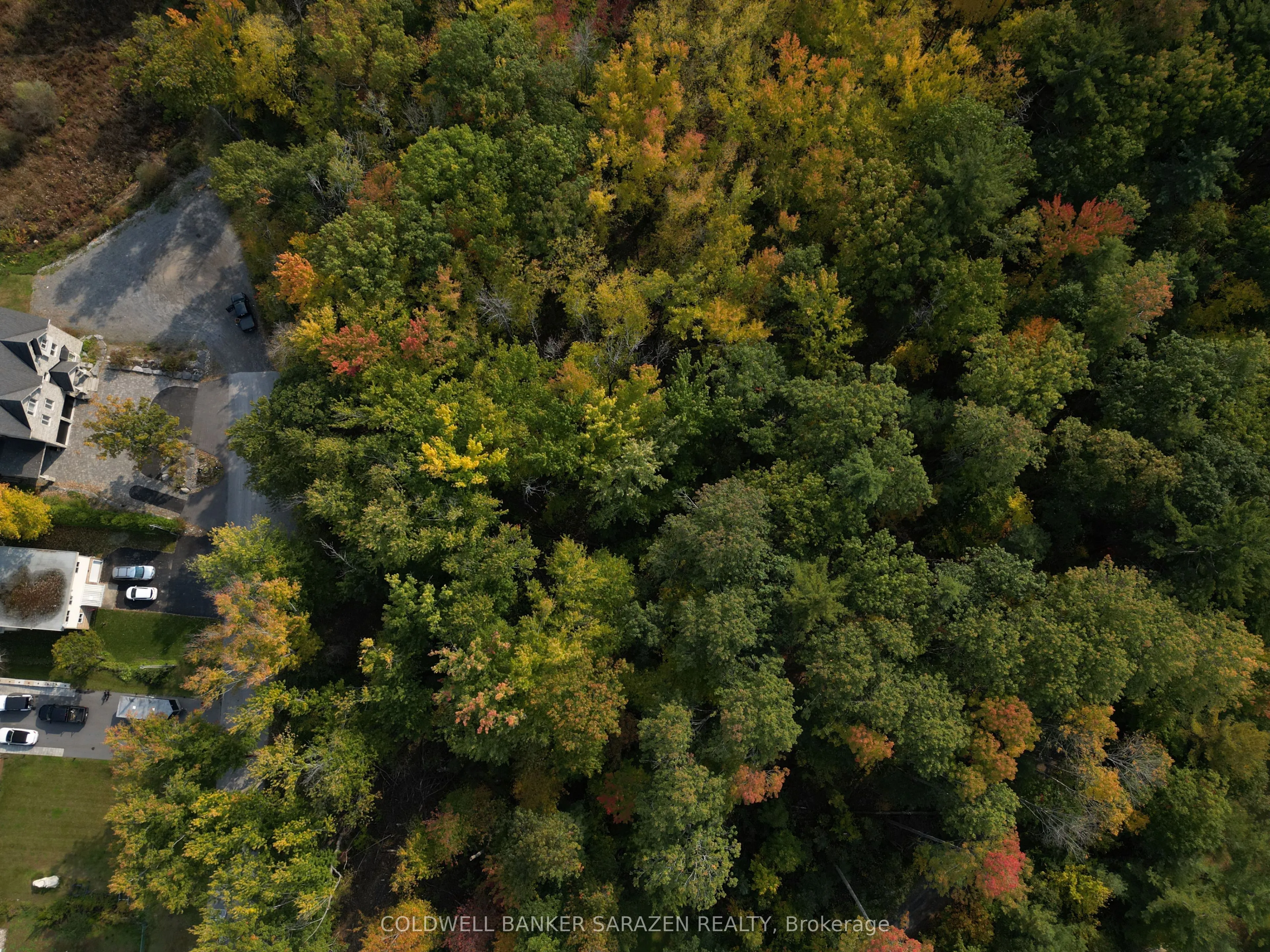 101 Allbirch Road