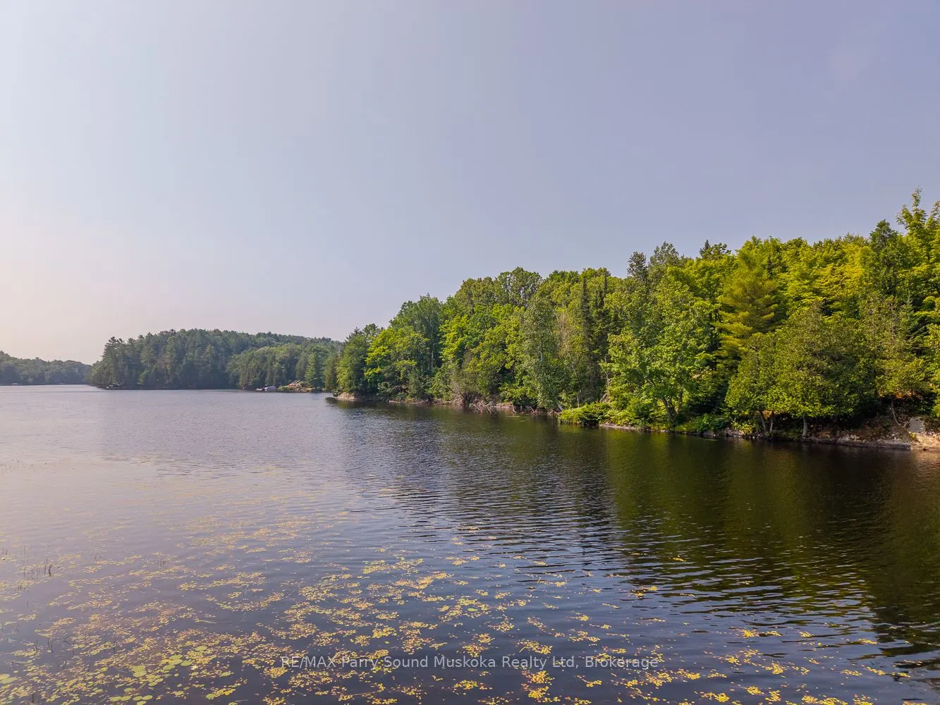 86 Lakeside Crescent