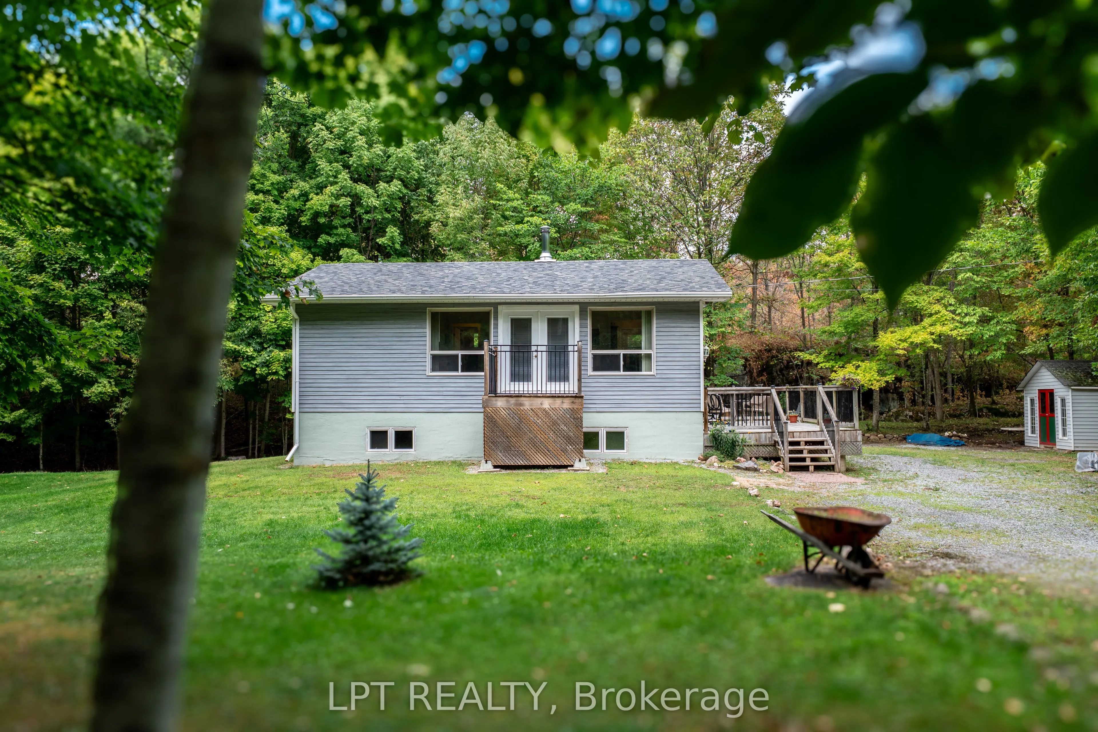 331 Maple Grove