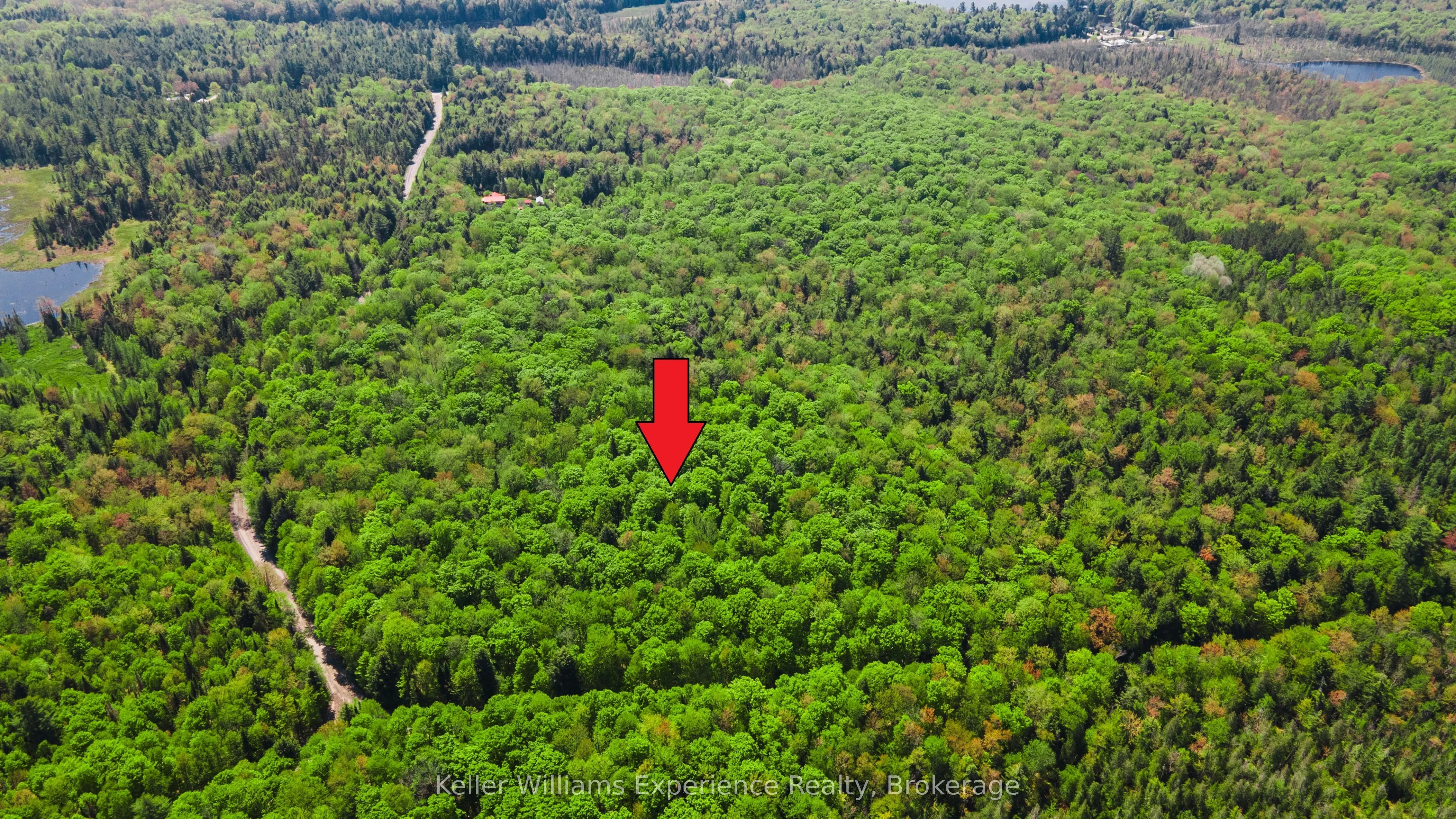 0 Healey Lake Road