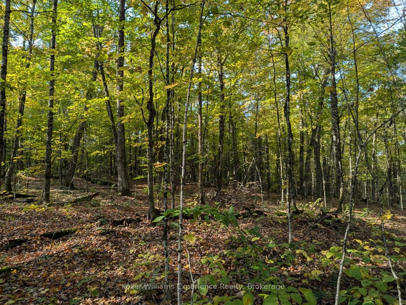 0 Healey Lake Road