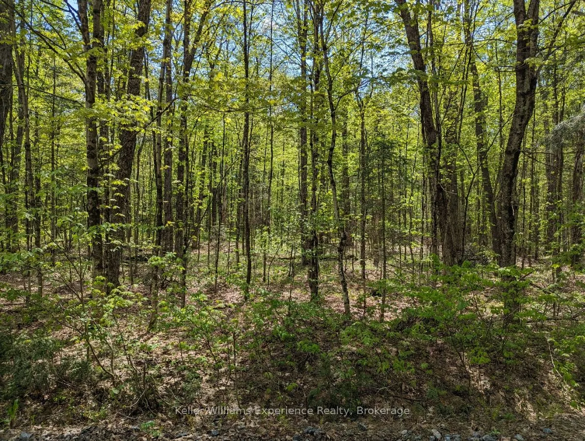 0 Healey Lake Road