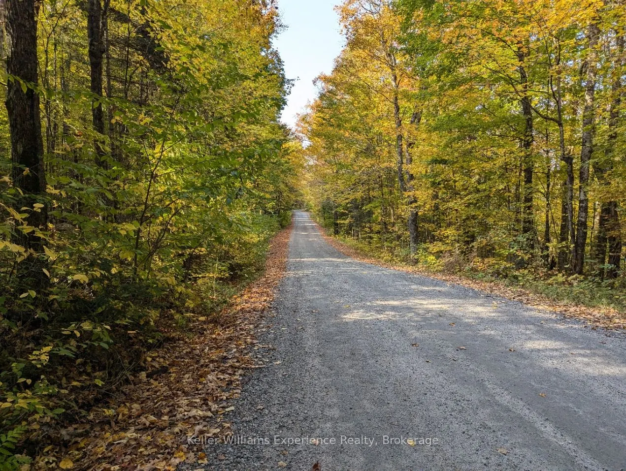 0 Healey Lake Road