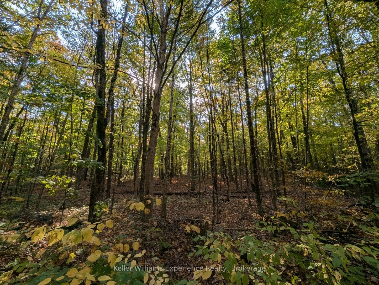 0 Healey Lake Road