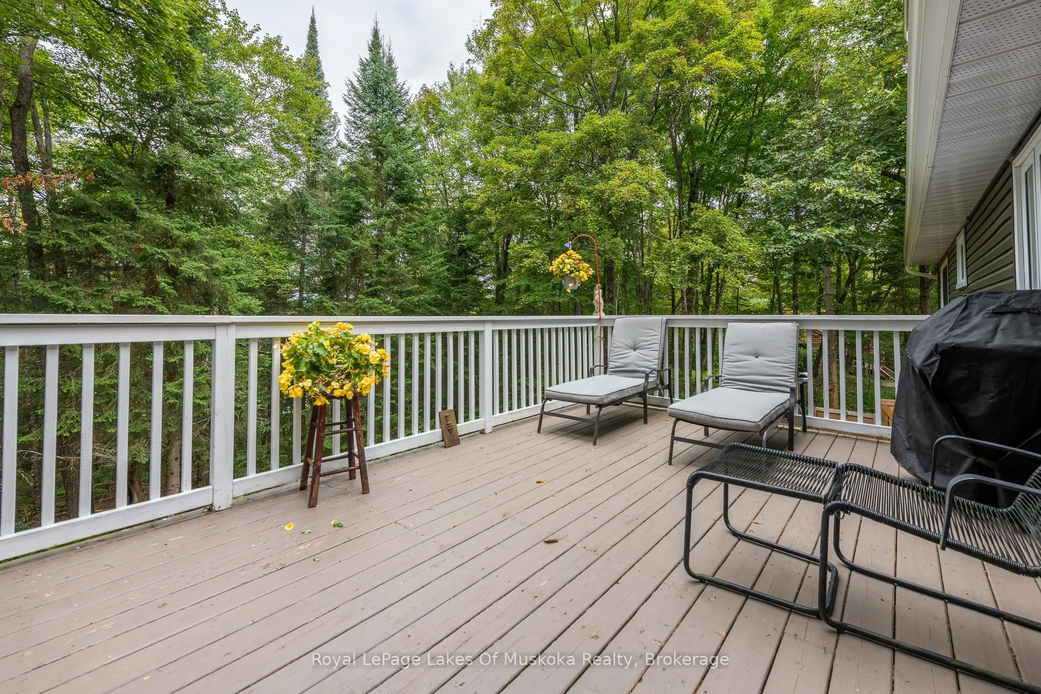 1588 Skyline Drive