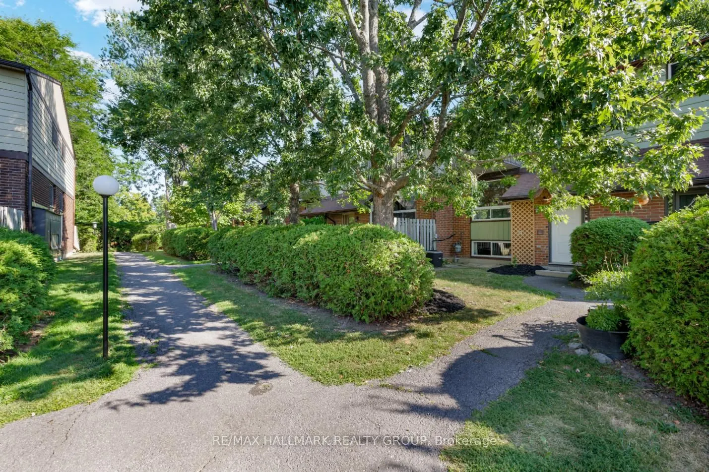 409 Montfort Street, #3