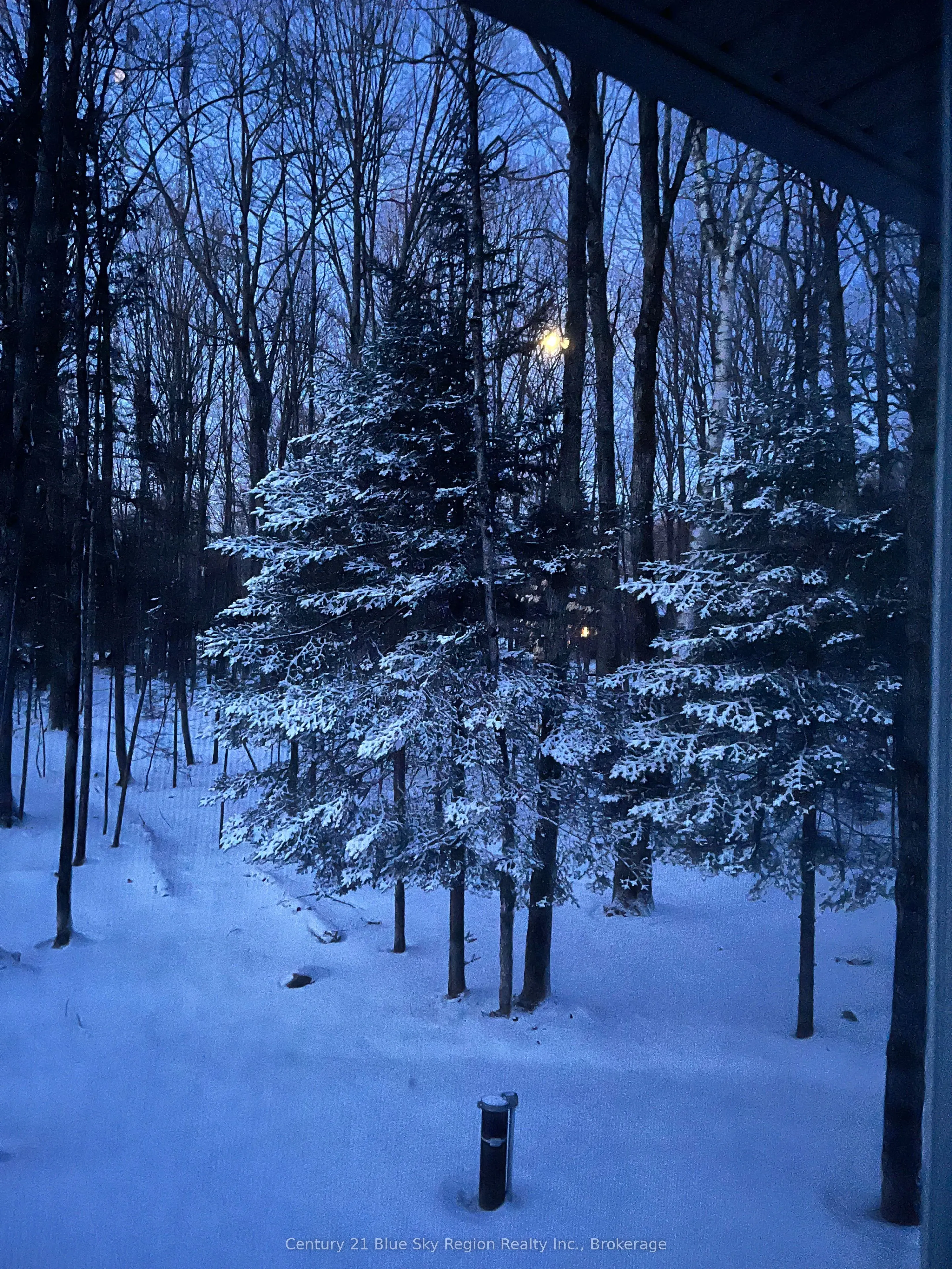 176 SKI HILL Road