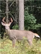 Lot 28 R13 Road