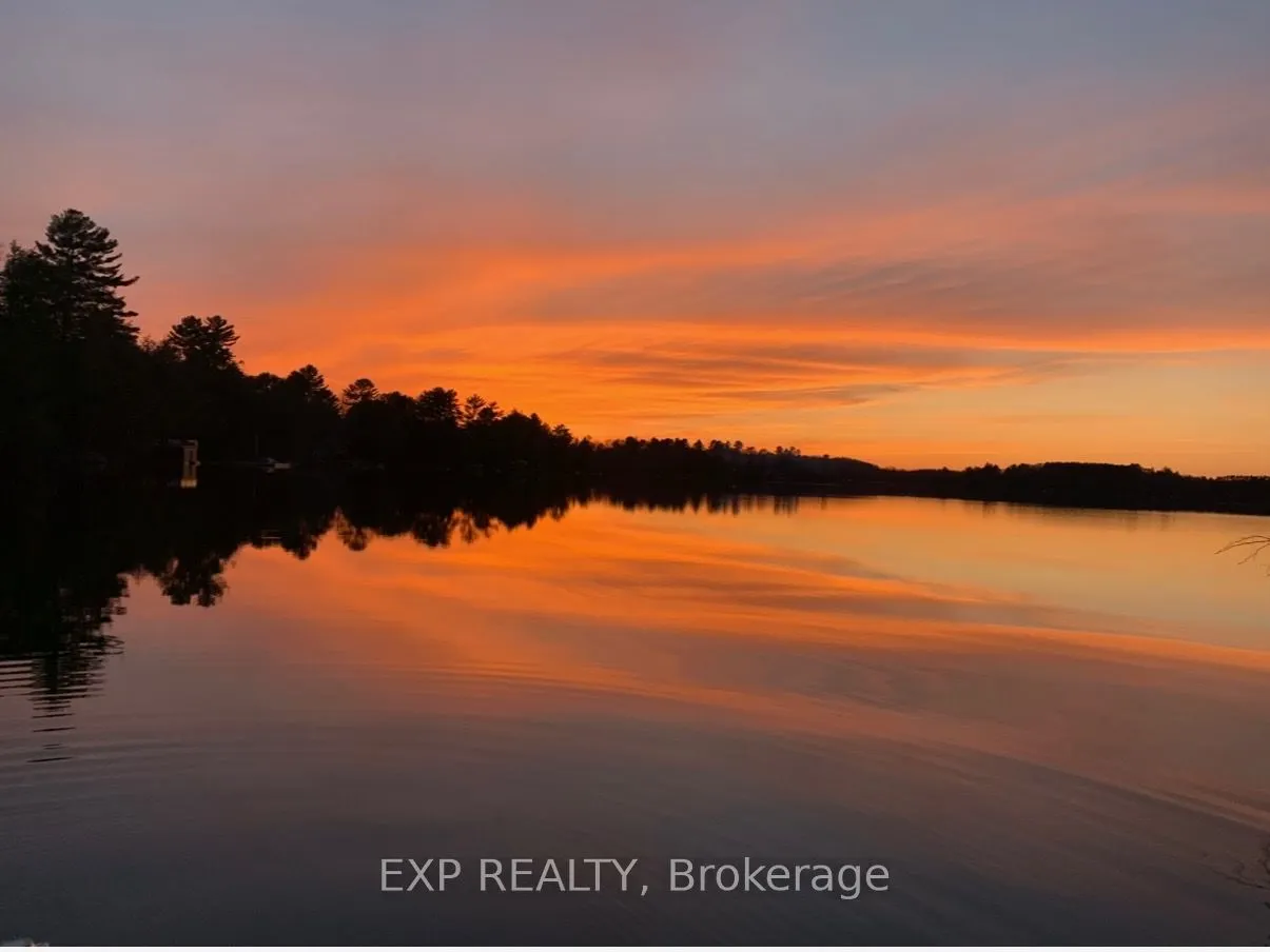 1105 Butterfly Road, #1