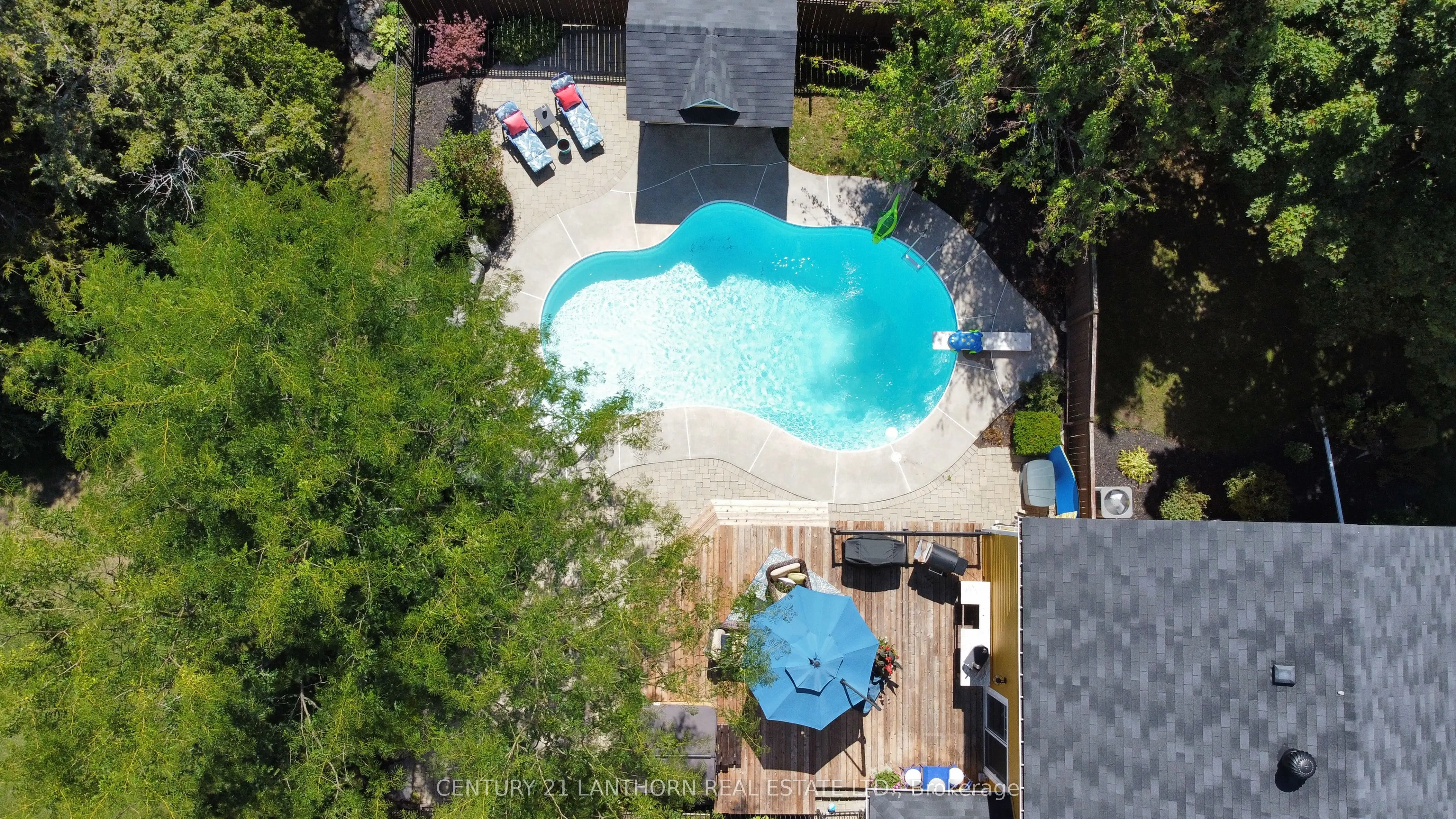 66 O'Neill Drive