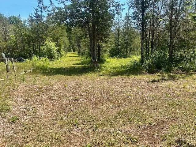 1569 County Road 24