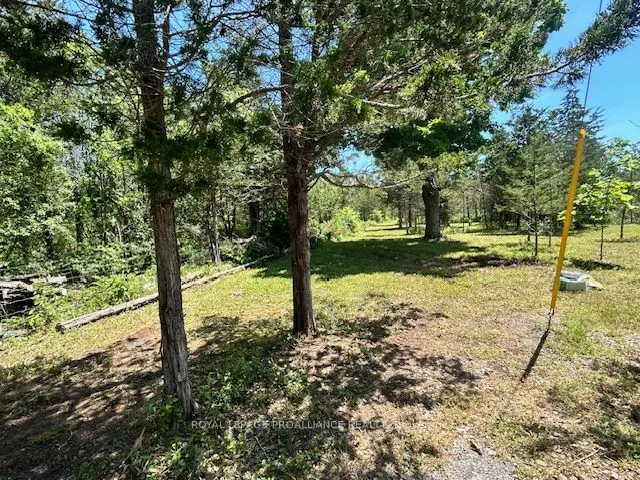 1569 County Road 24