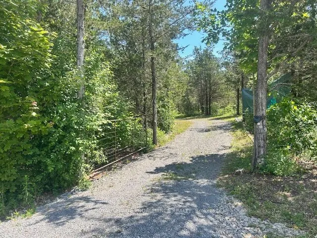 1569 County Road 24