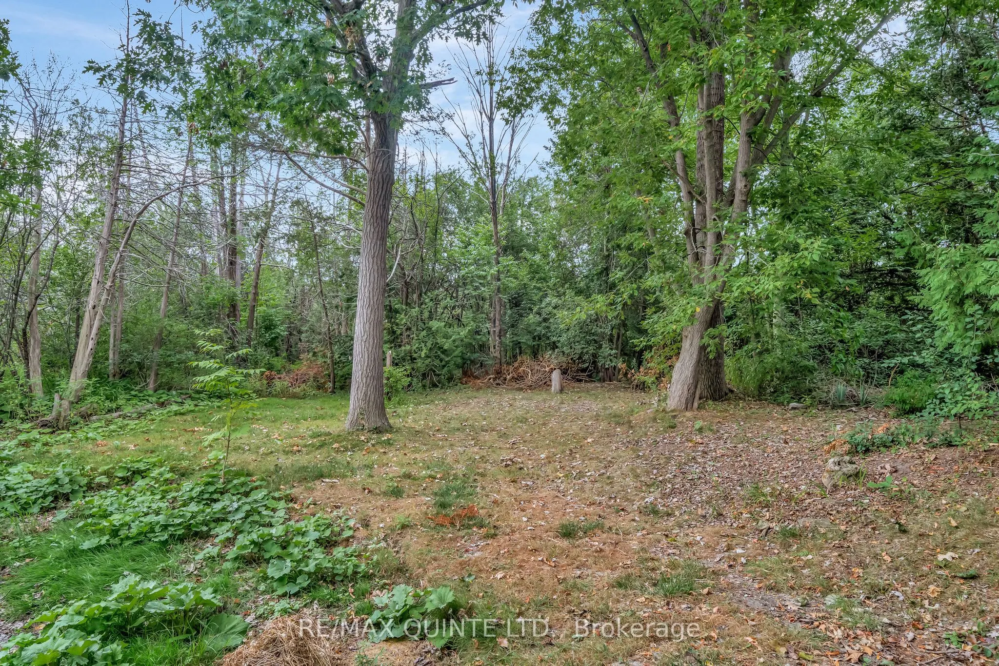 59 Oak Ridge Boulevard
