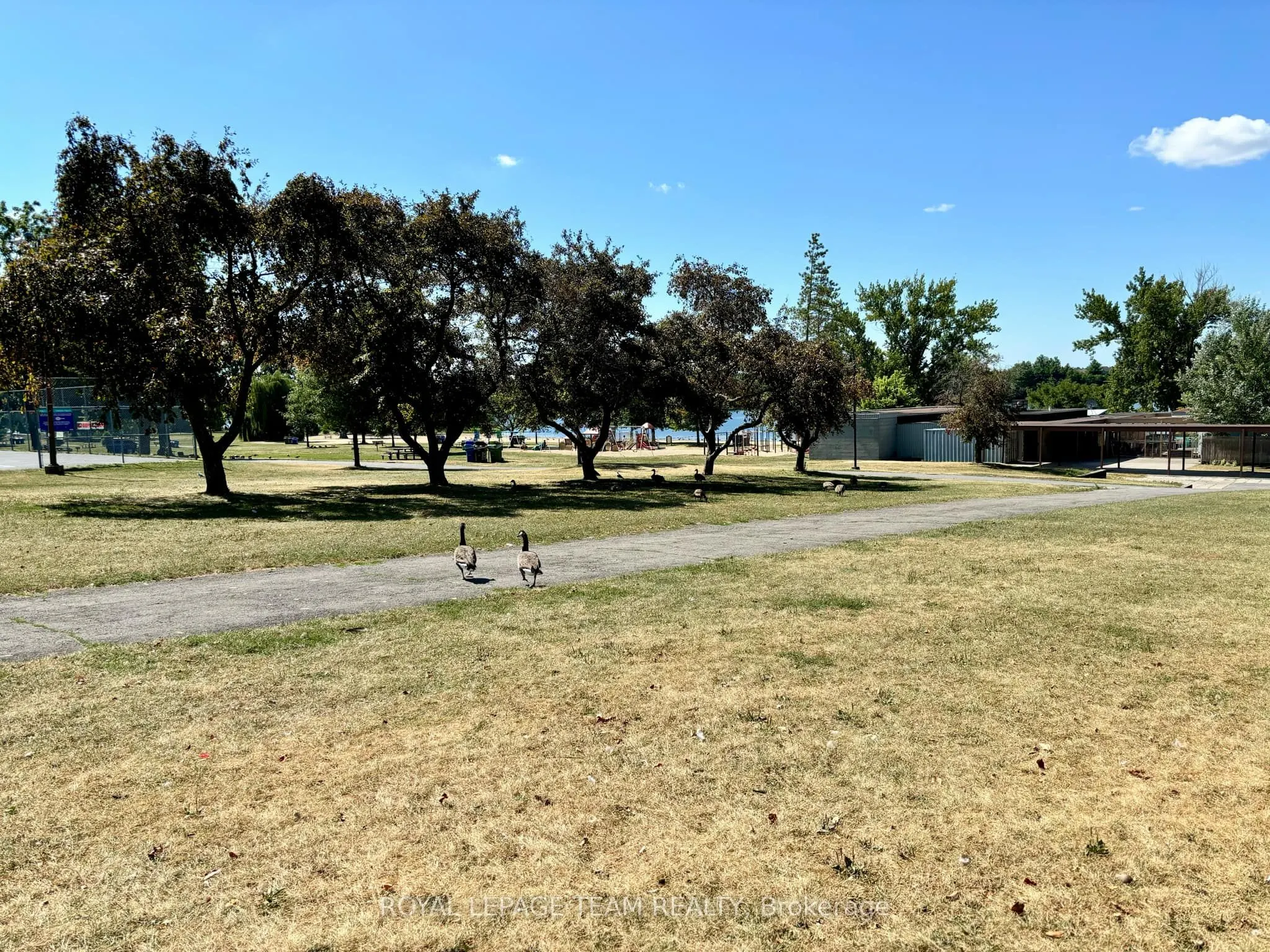 2951 Riverside Drive, #1101