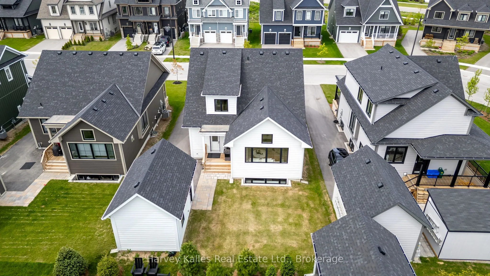 113 Black Willow Street
