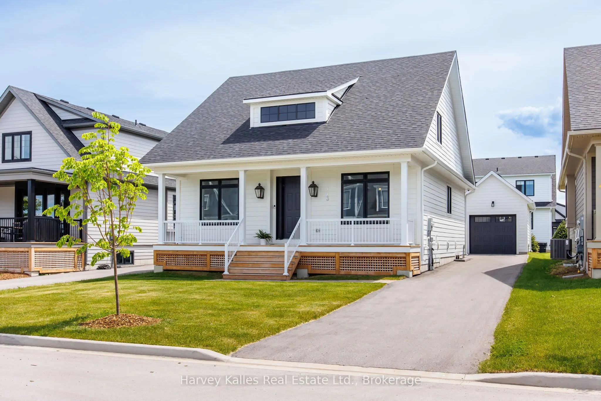 113 Black Willow Street