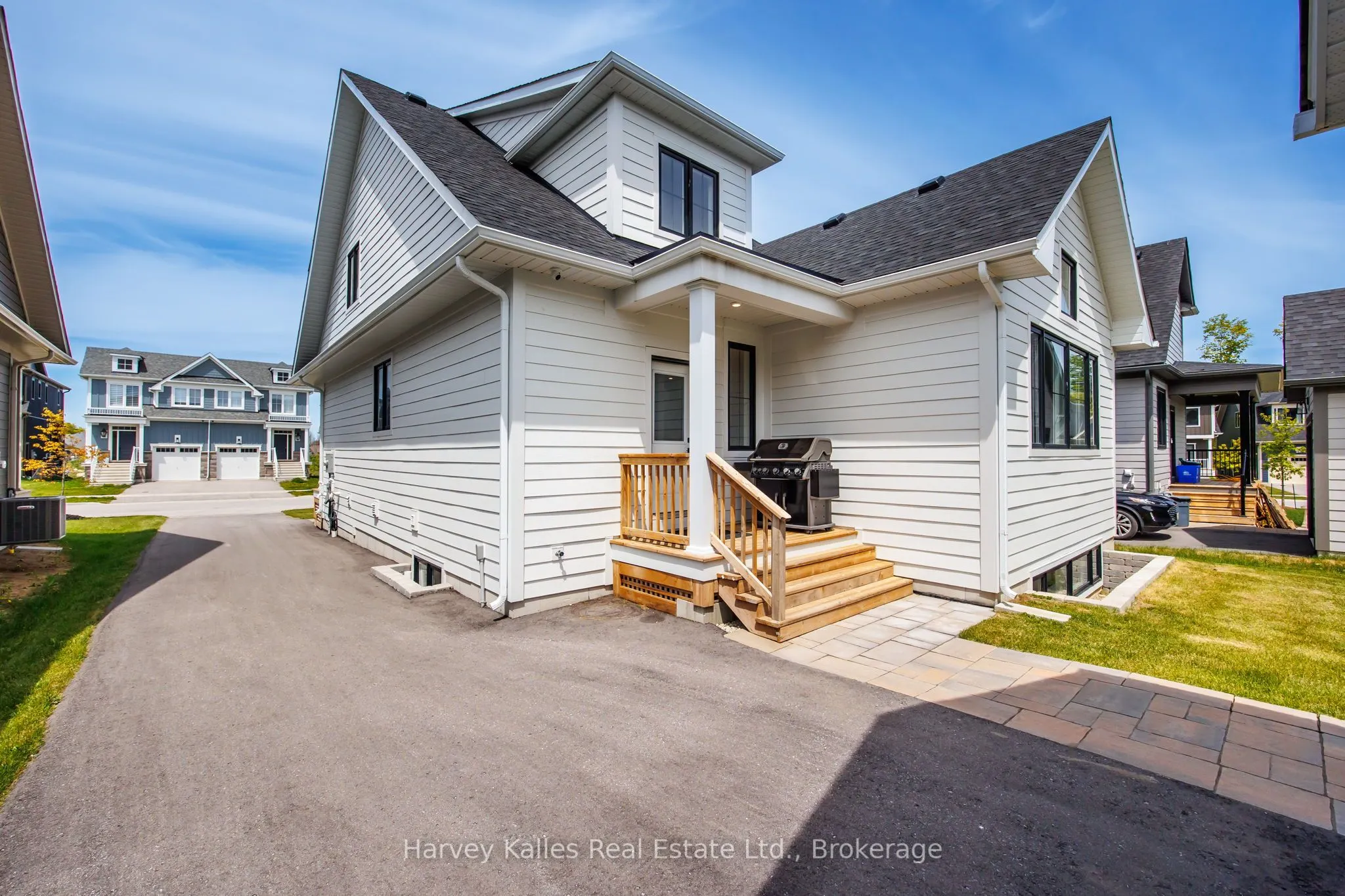 113 Black Willow Street