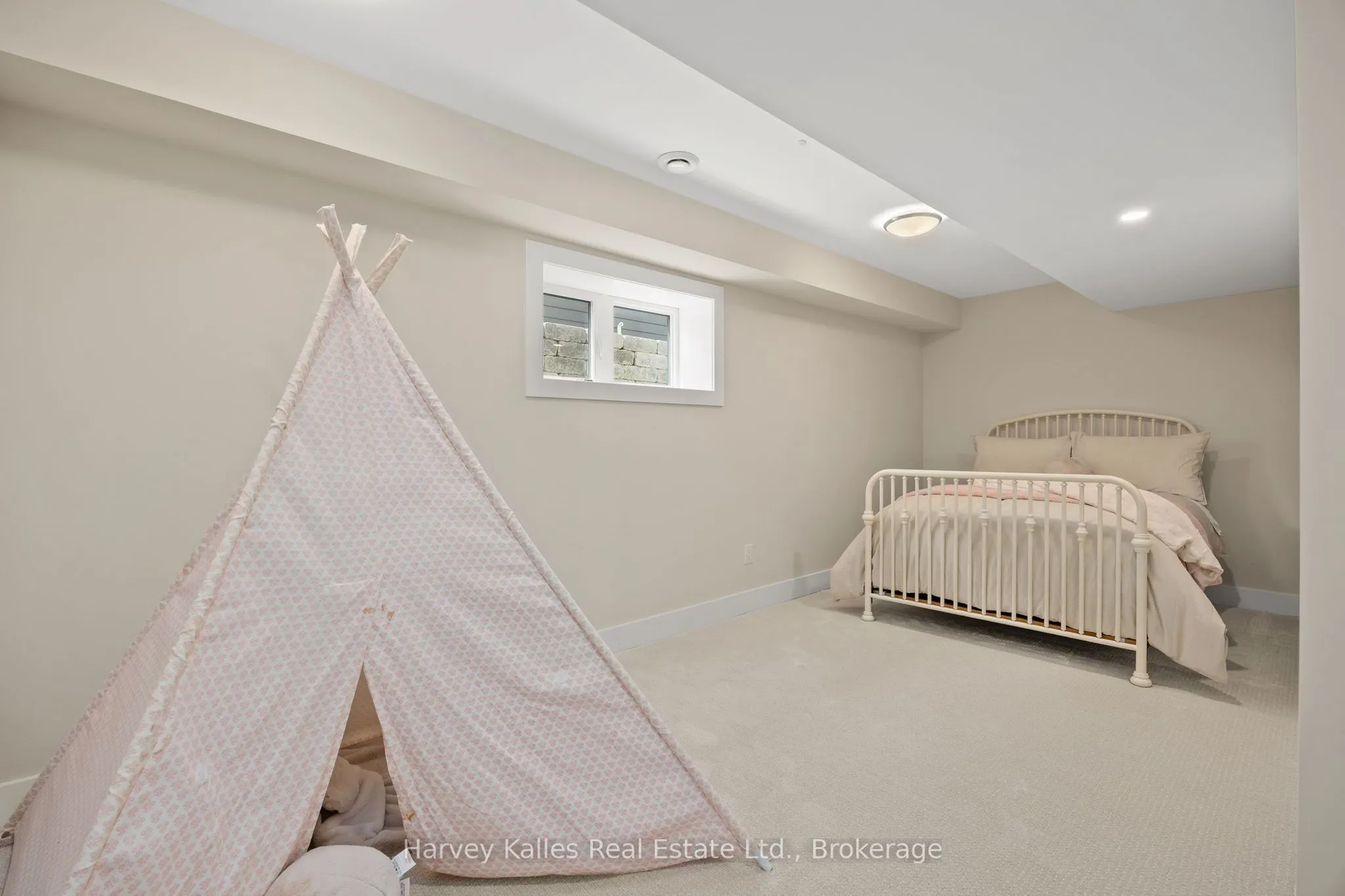 113 Black Willow Street