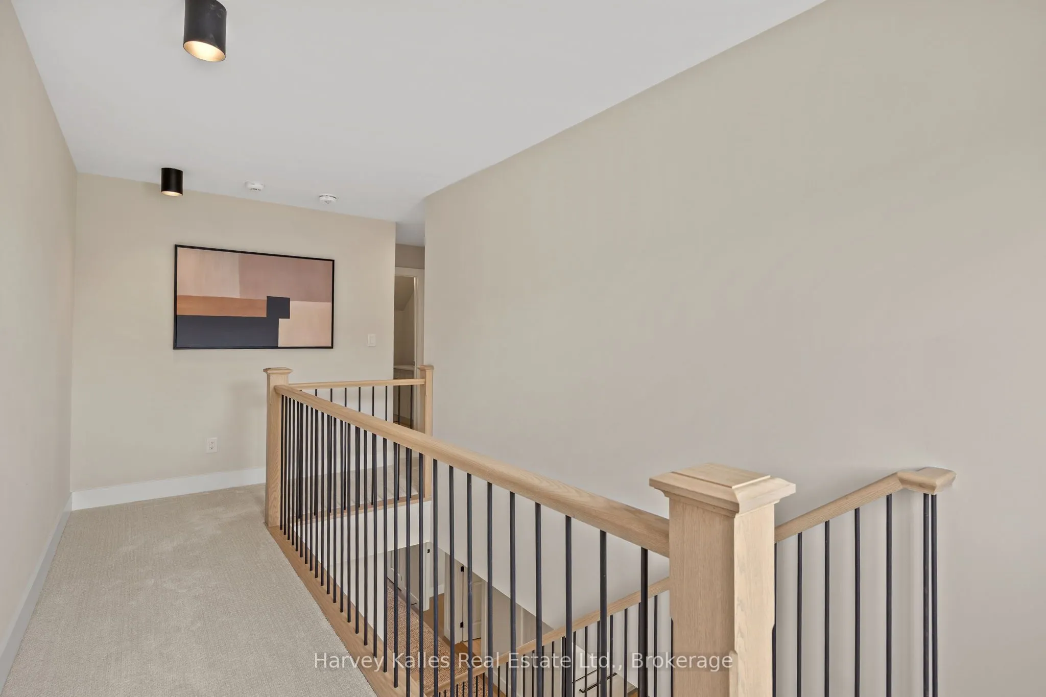 113 Black Willow Street