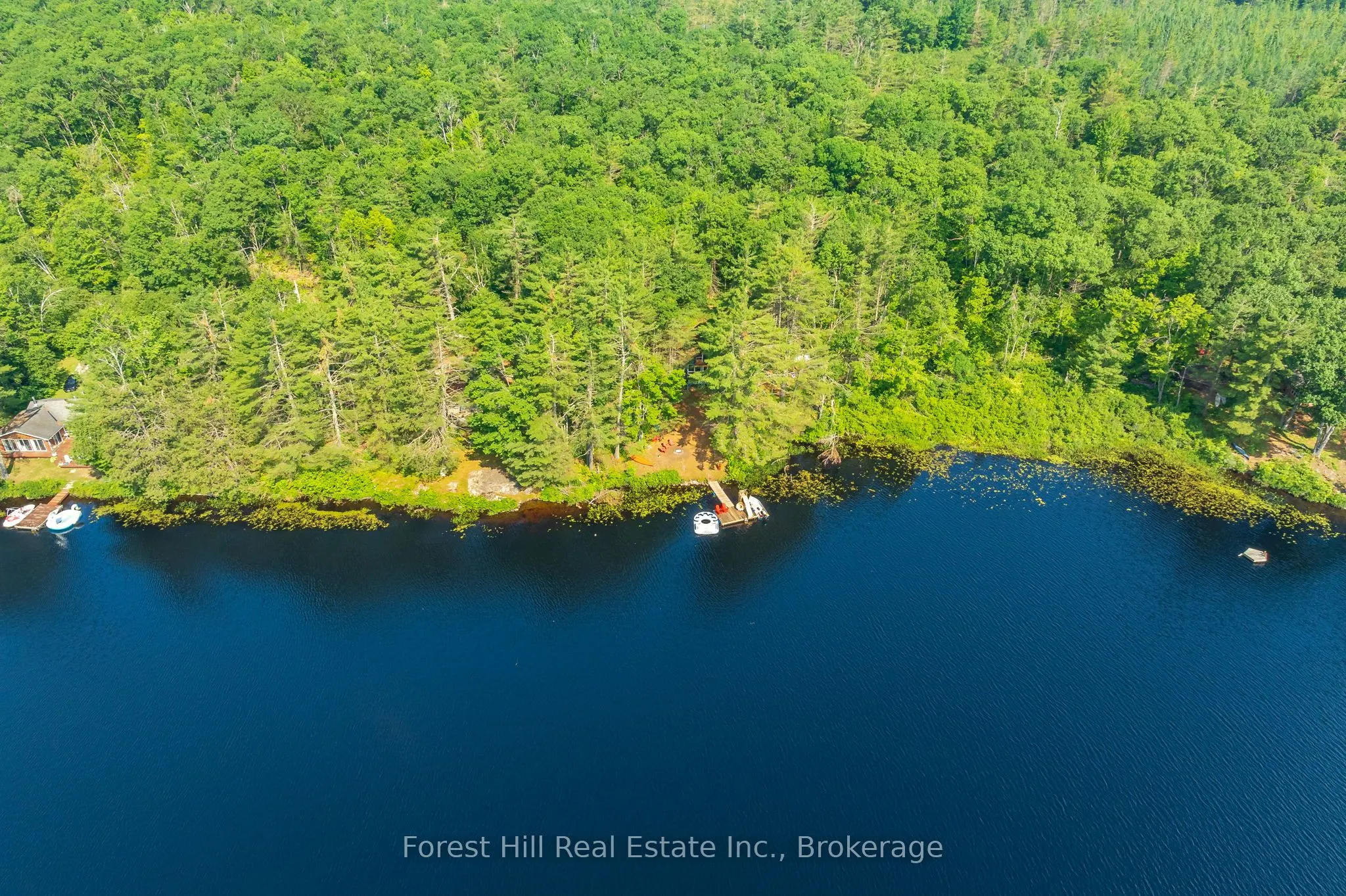 1099 Bracken Trail