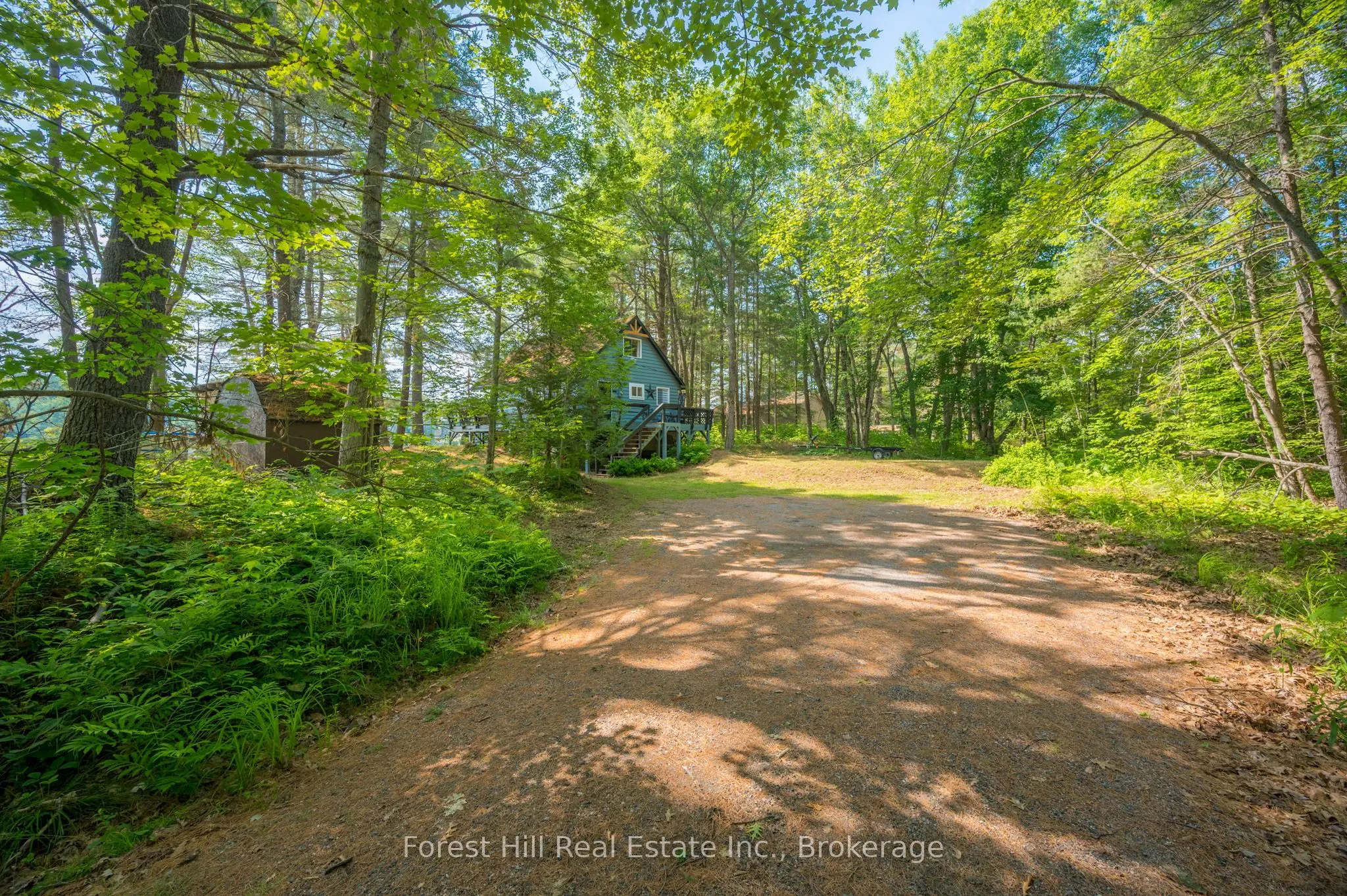 1099 Bracken Trail