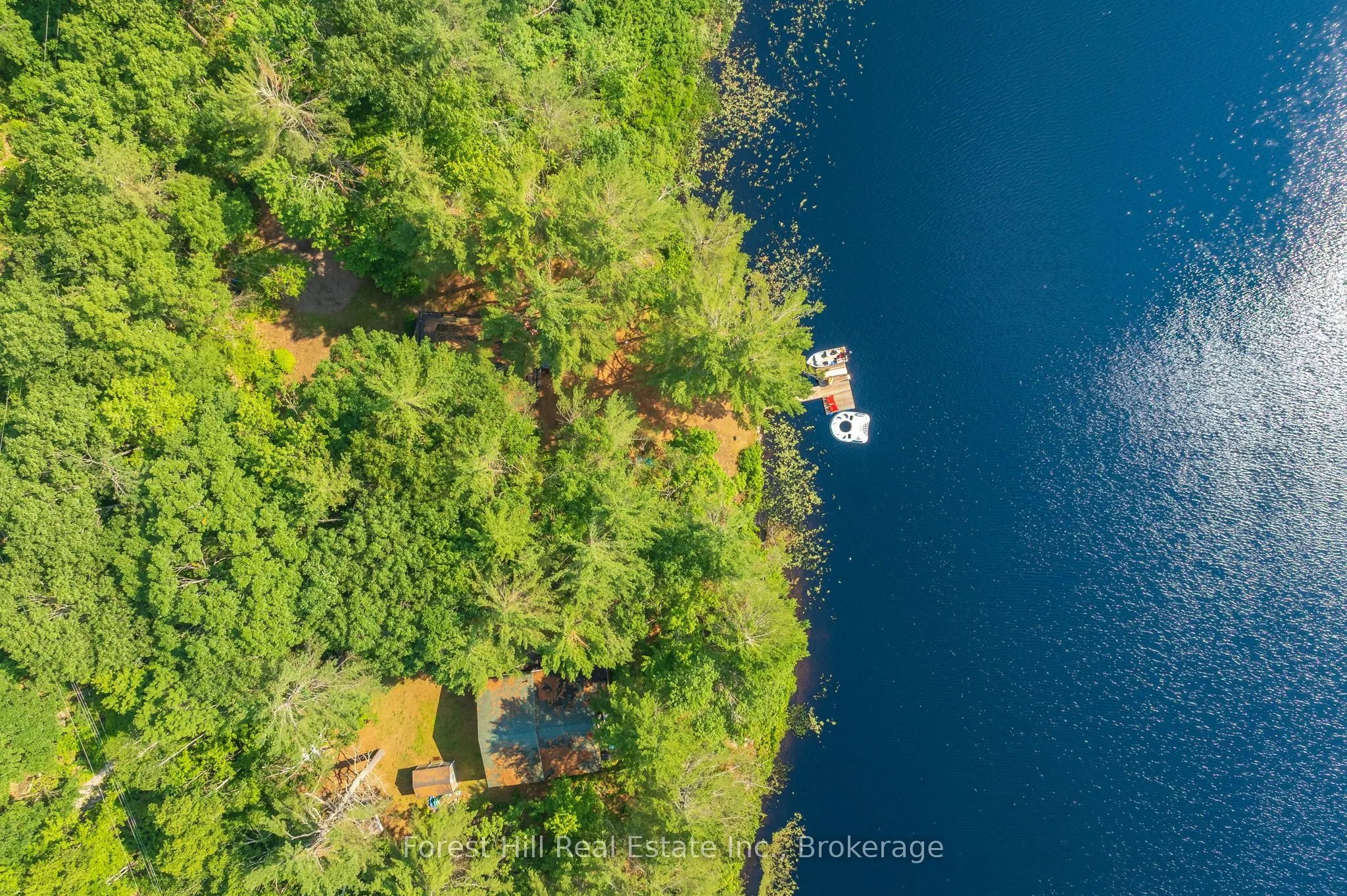 1099 Bracken Trail