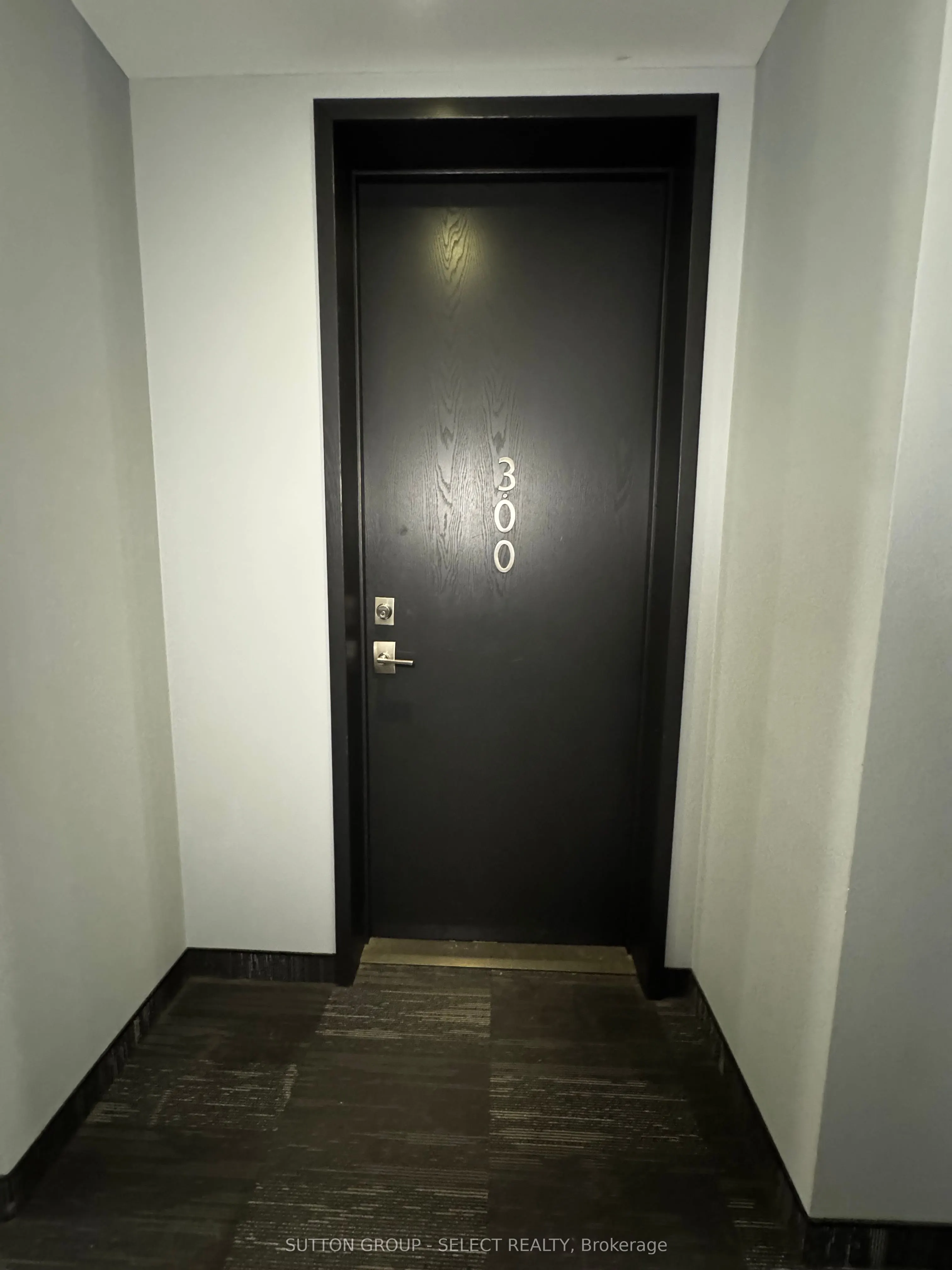 1705 Fiddlehead Place, #300