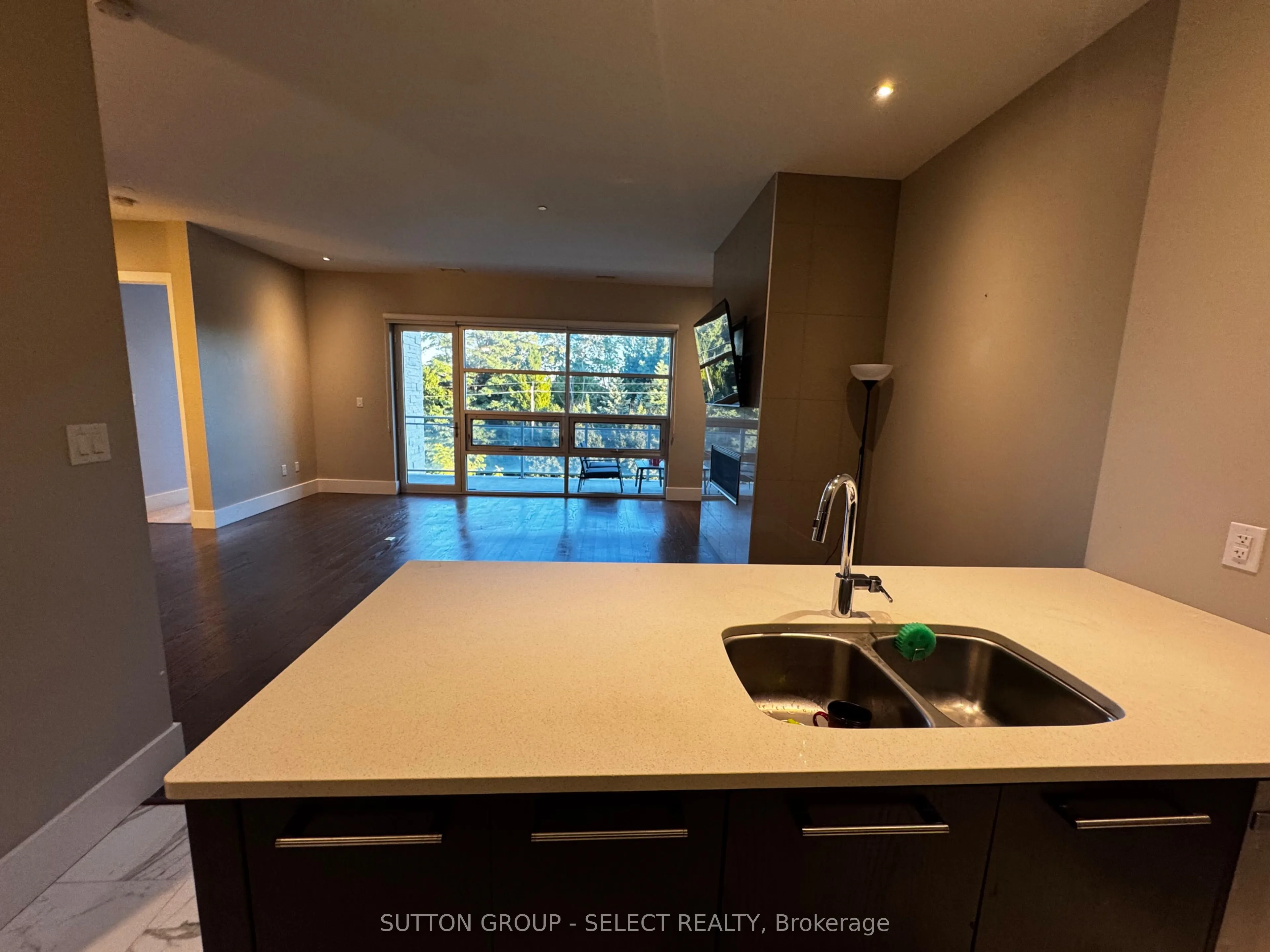 1705 Fiddlehead Place, #300