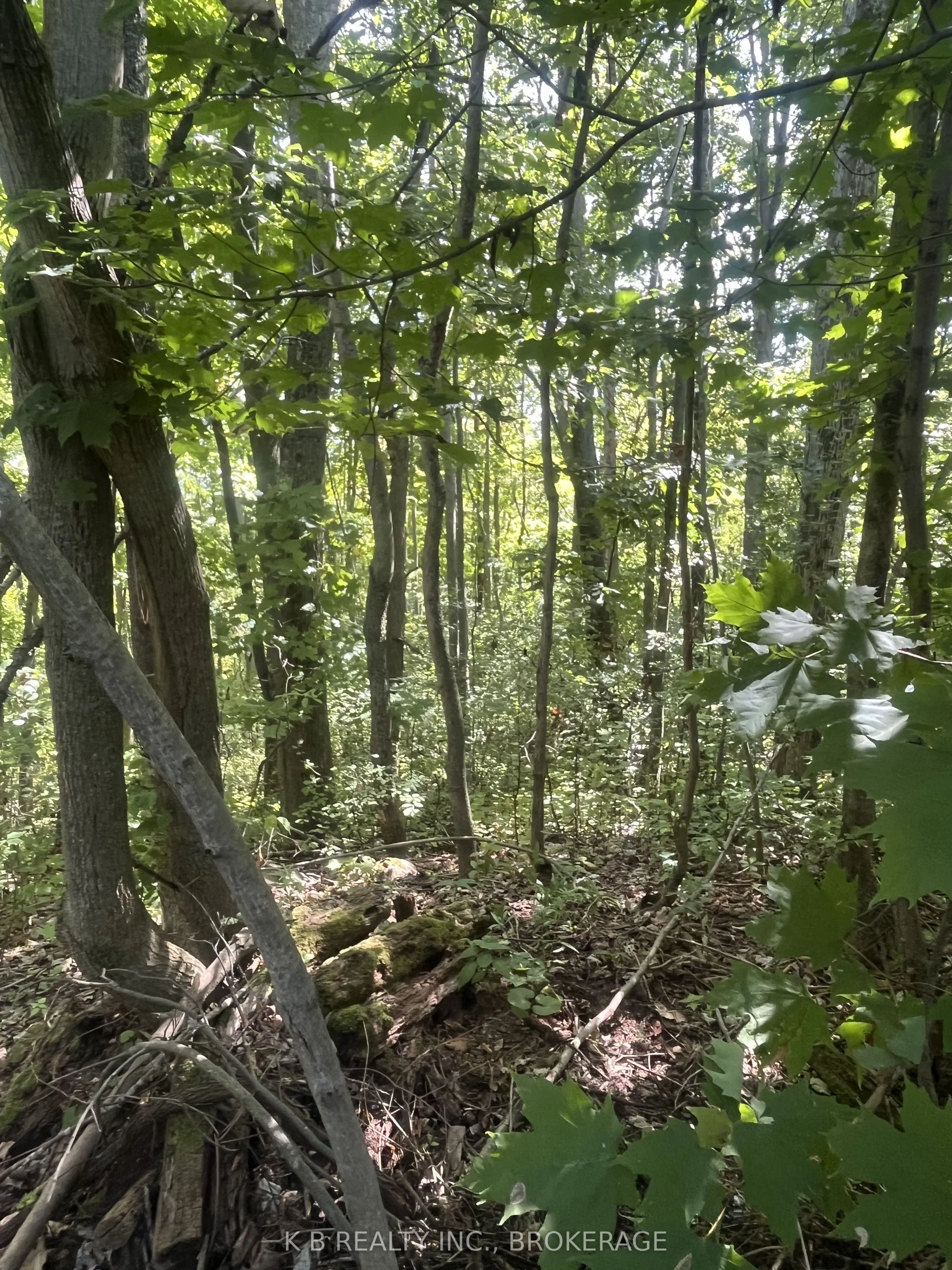 15598 County Road 2 Road
