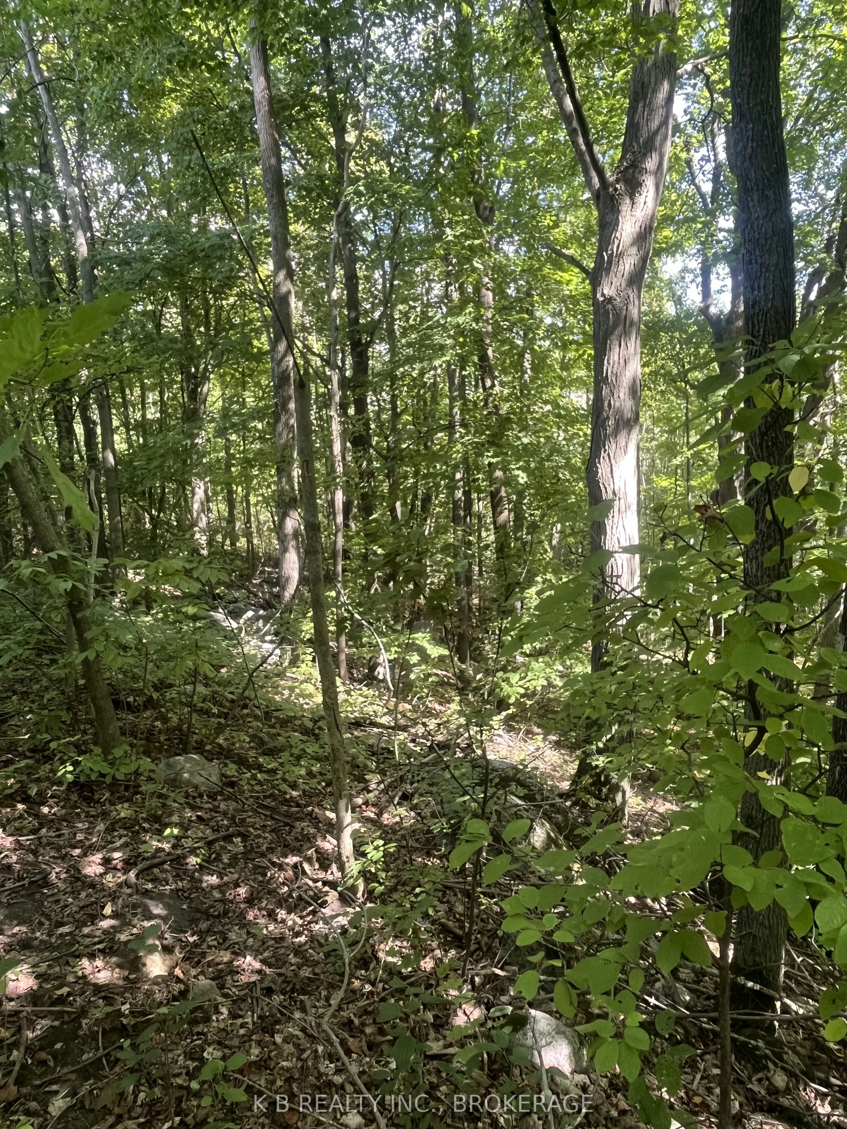 15598 County Road 2 Road