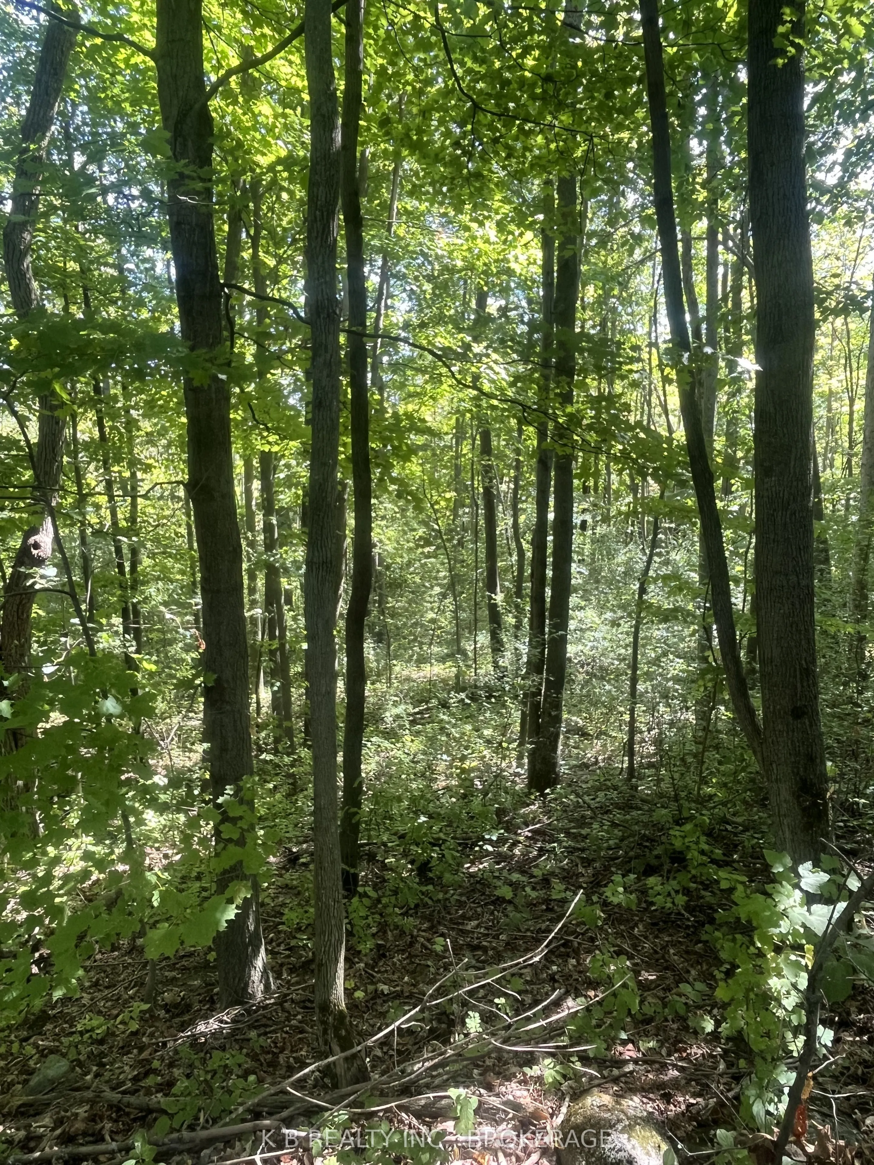 15598 County Road 2 Road