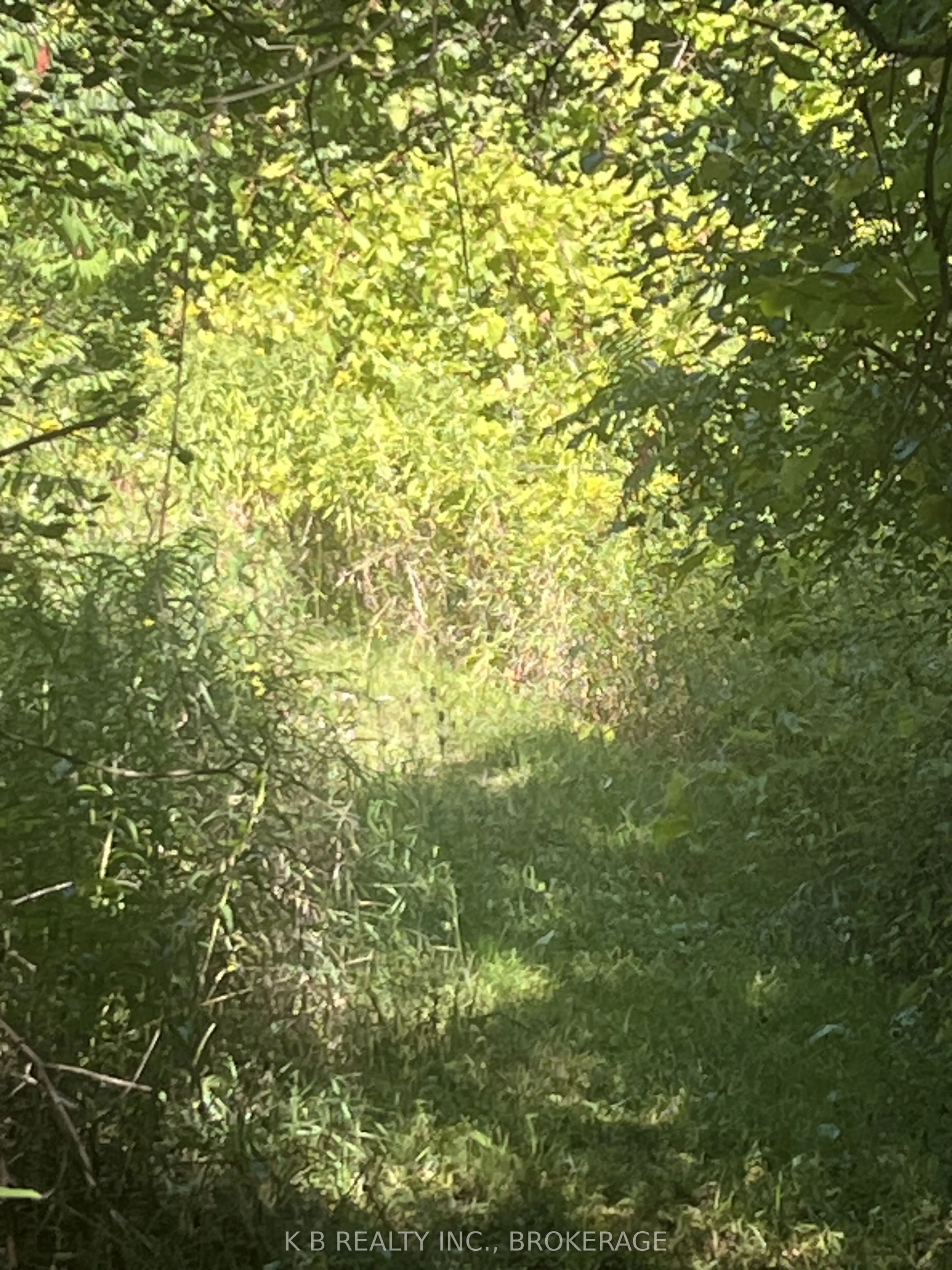 15598 County Road 2 Road