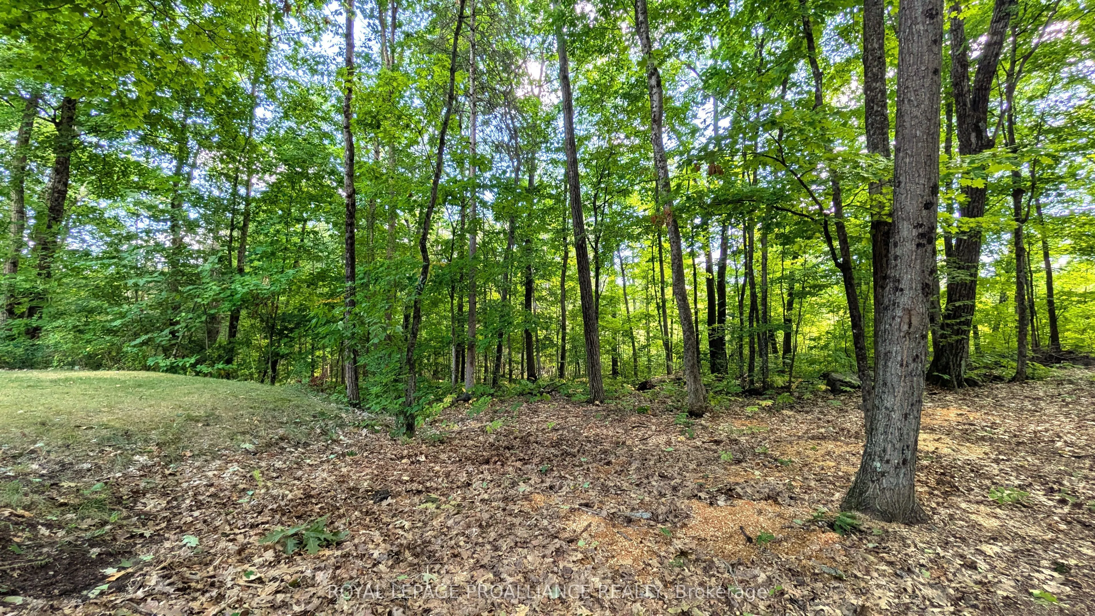 145 Maple Road