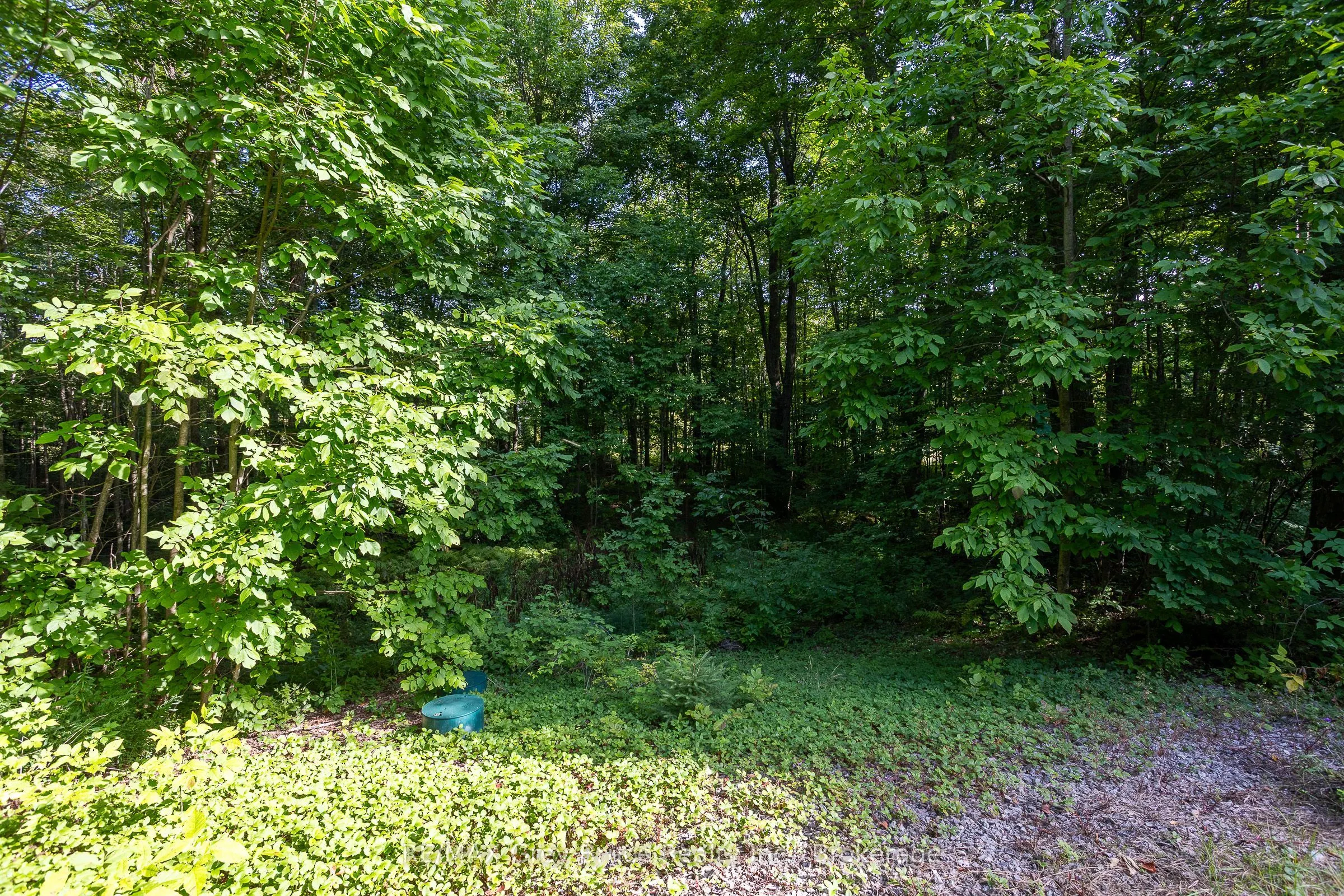 103777 Grey Road 18 Road
