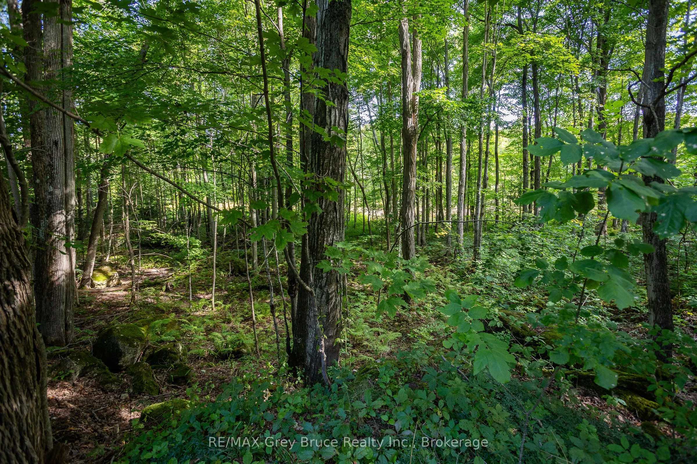 103777 Grey Road 18 Road