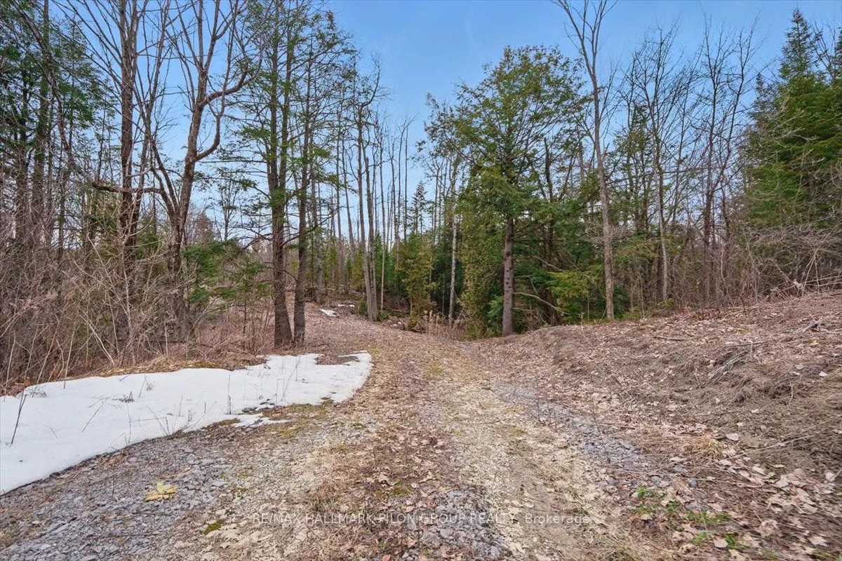 1219 Dunning Road