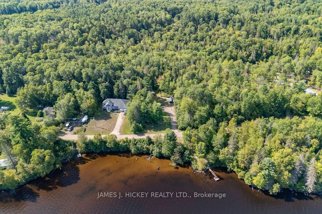 123 Harvey Creek Road