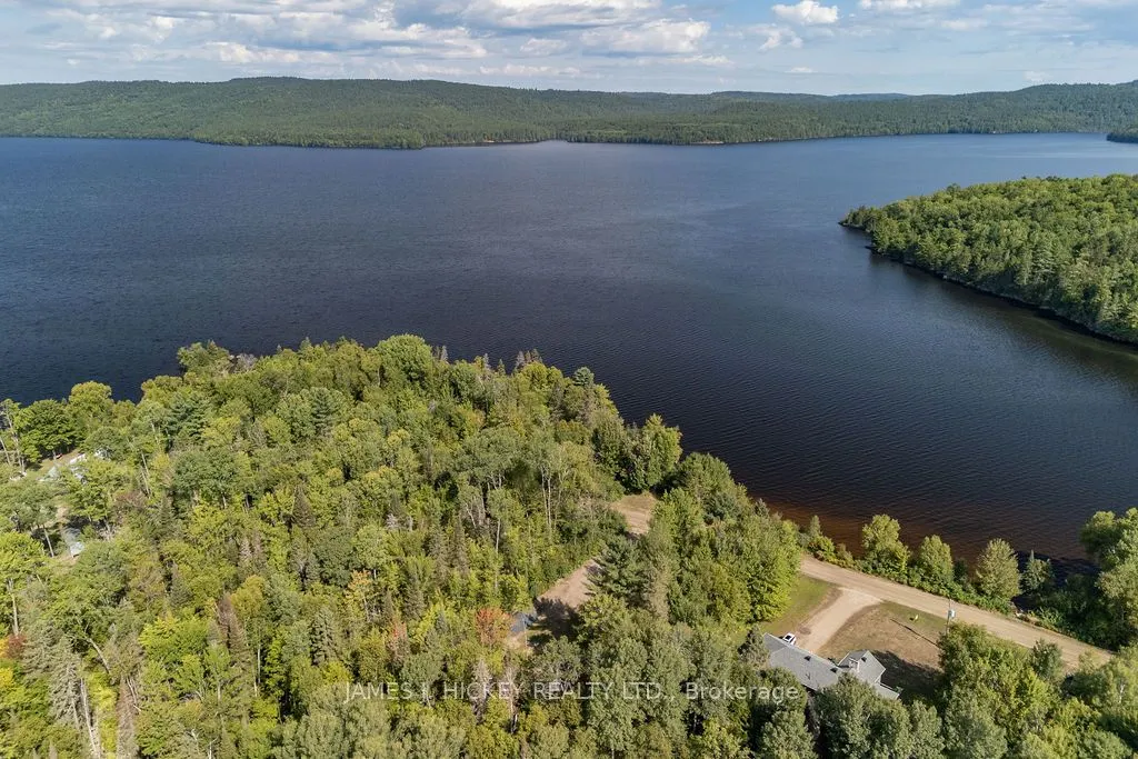123 Harvey Creek Road